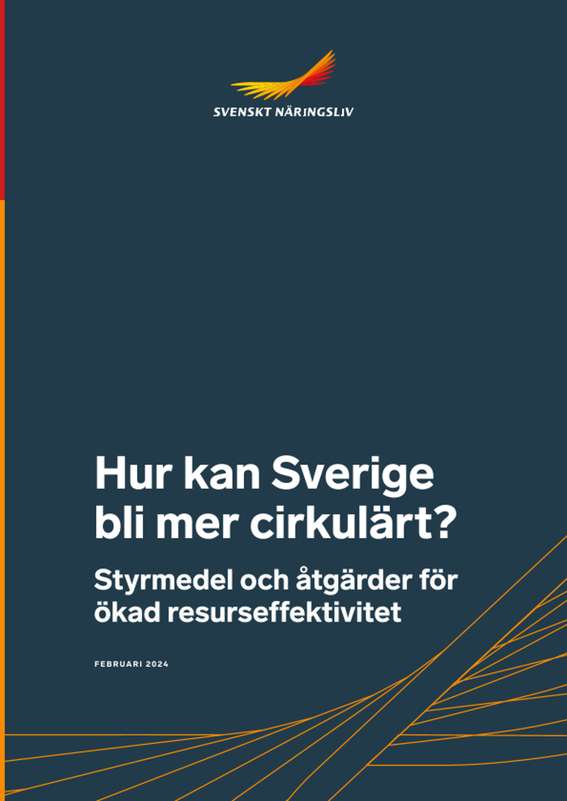 Omslagsbild - Rapport