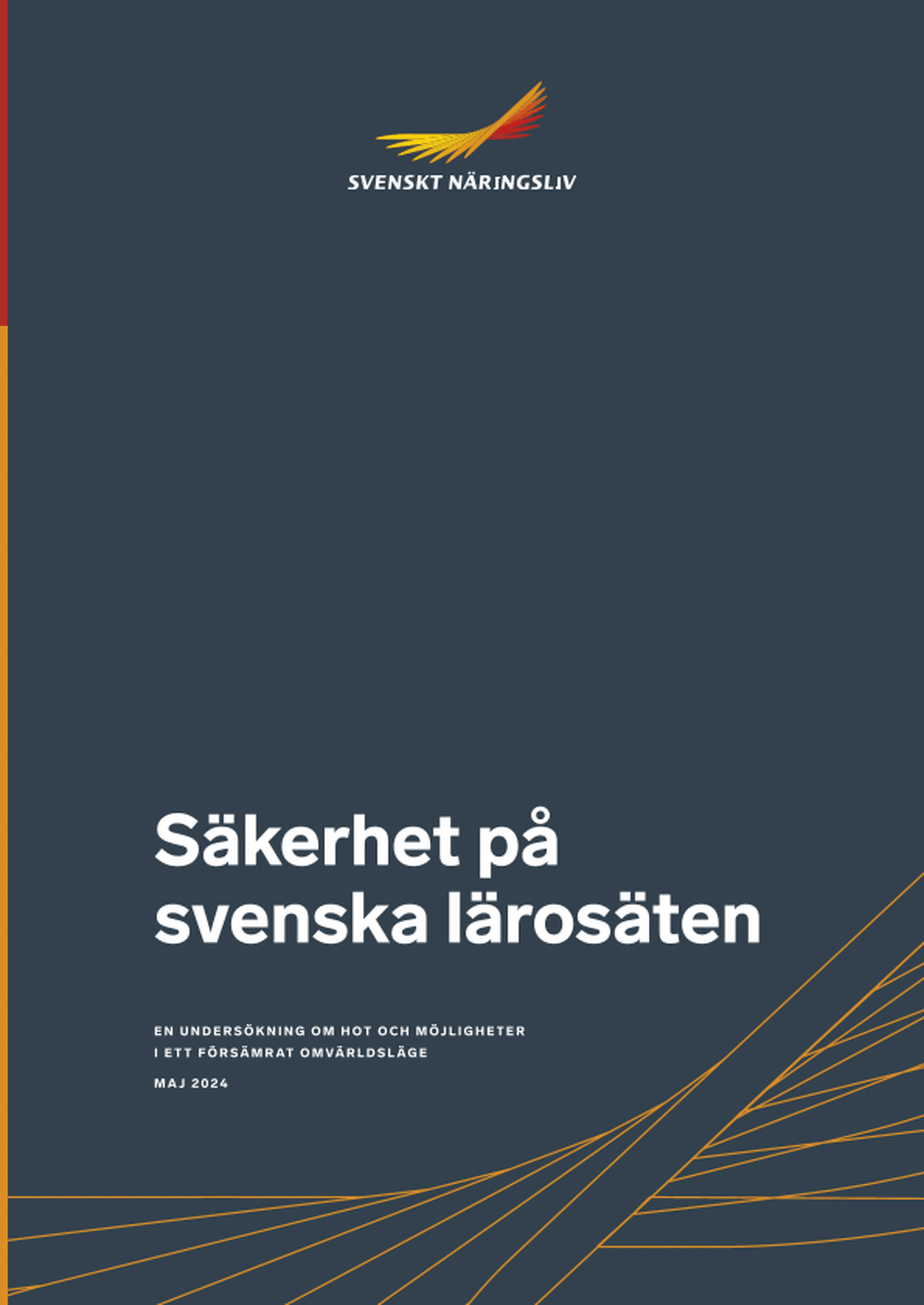 Omslagsbild - Rapport