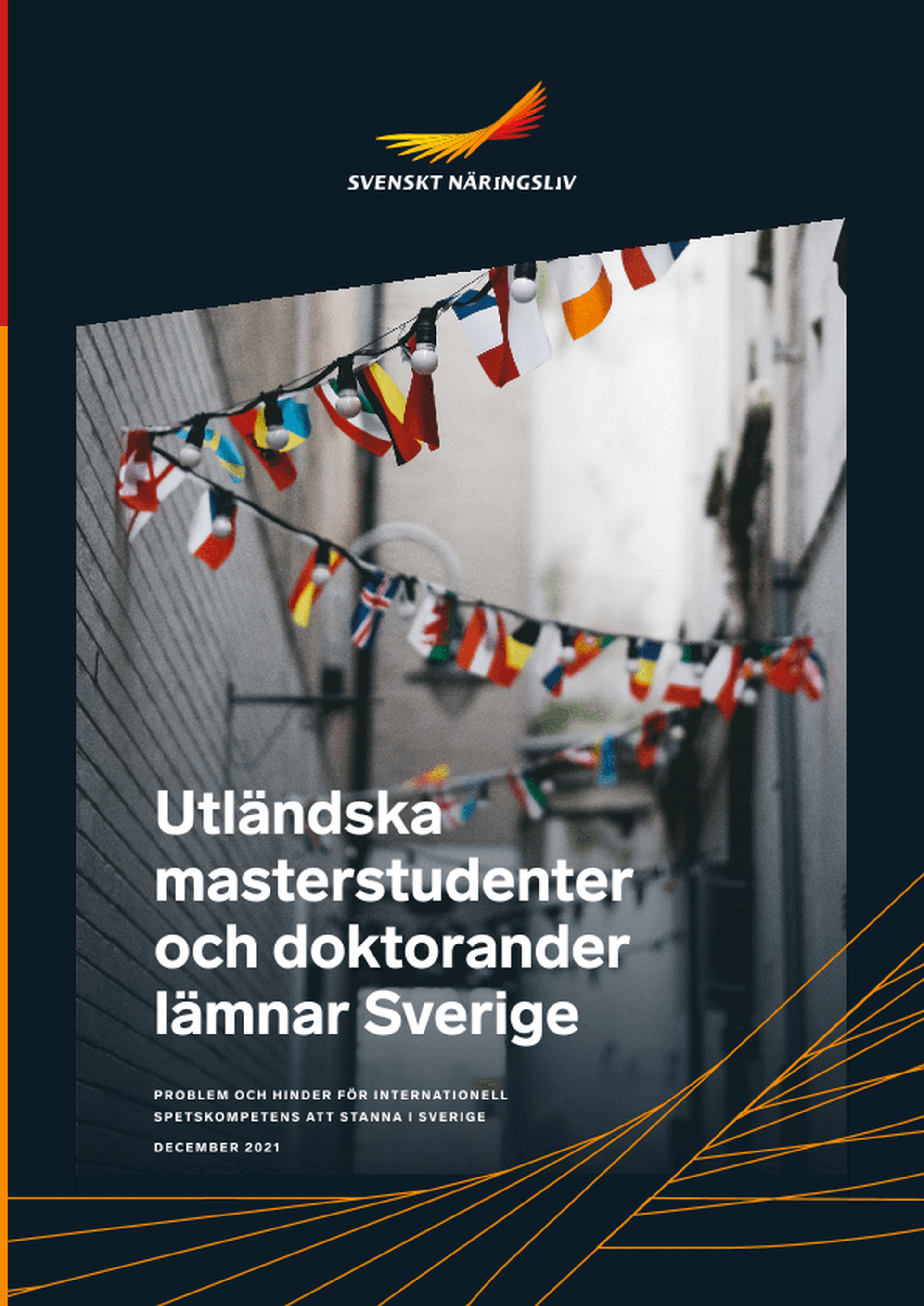 Omslagsbild - Rapport