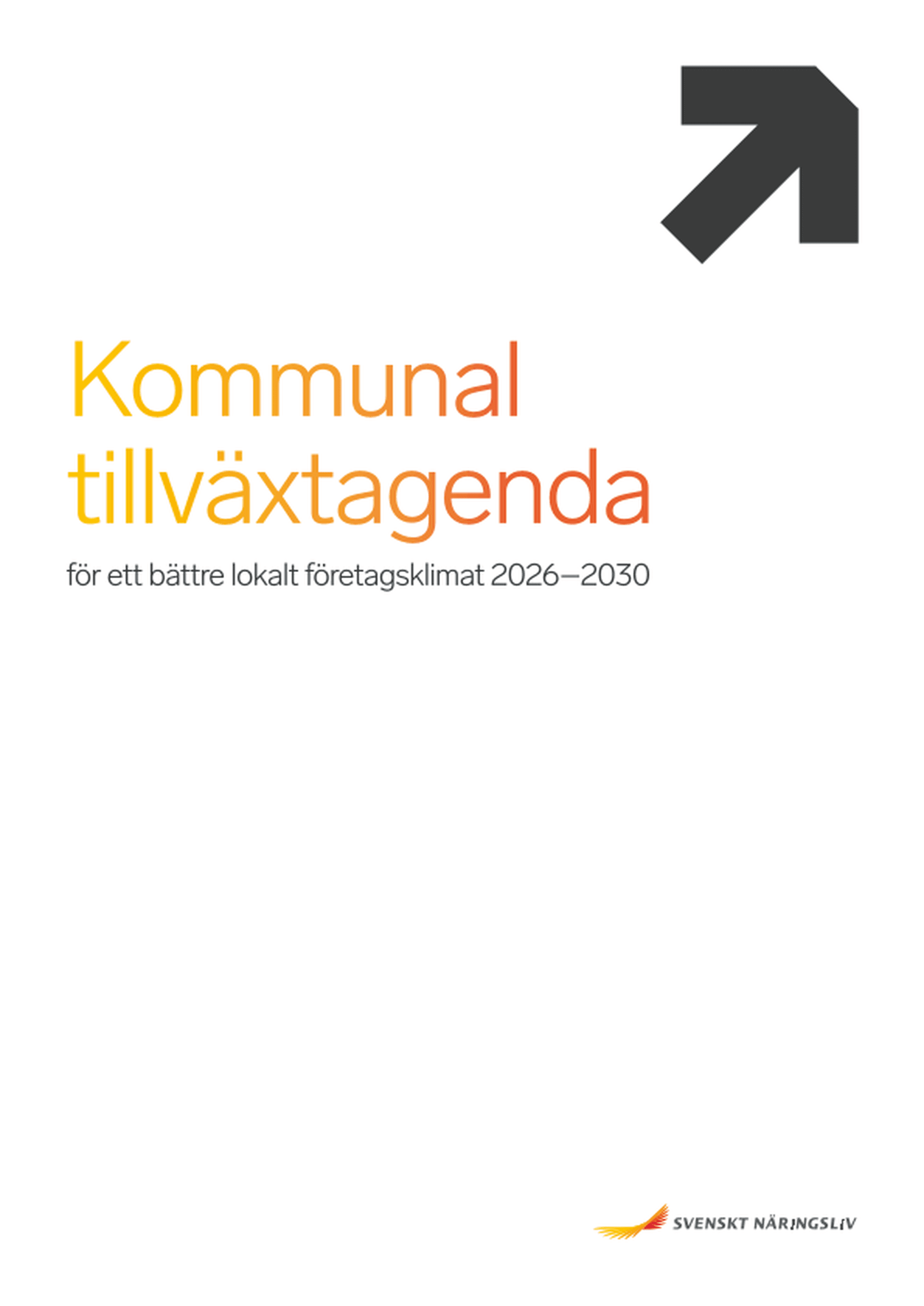 Omslagsbild - Rapport
