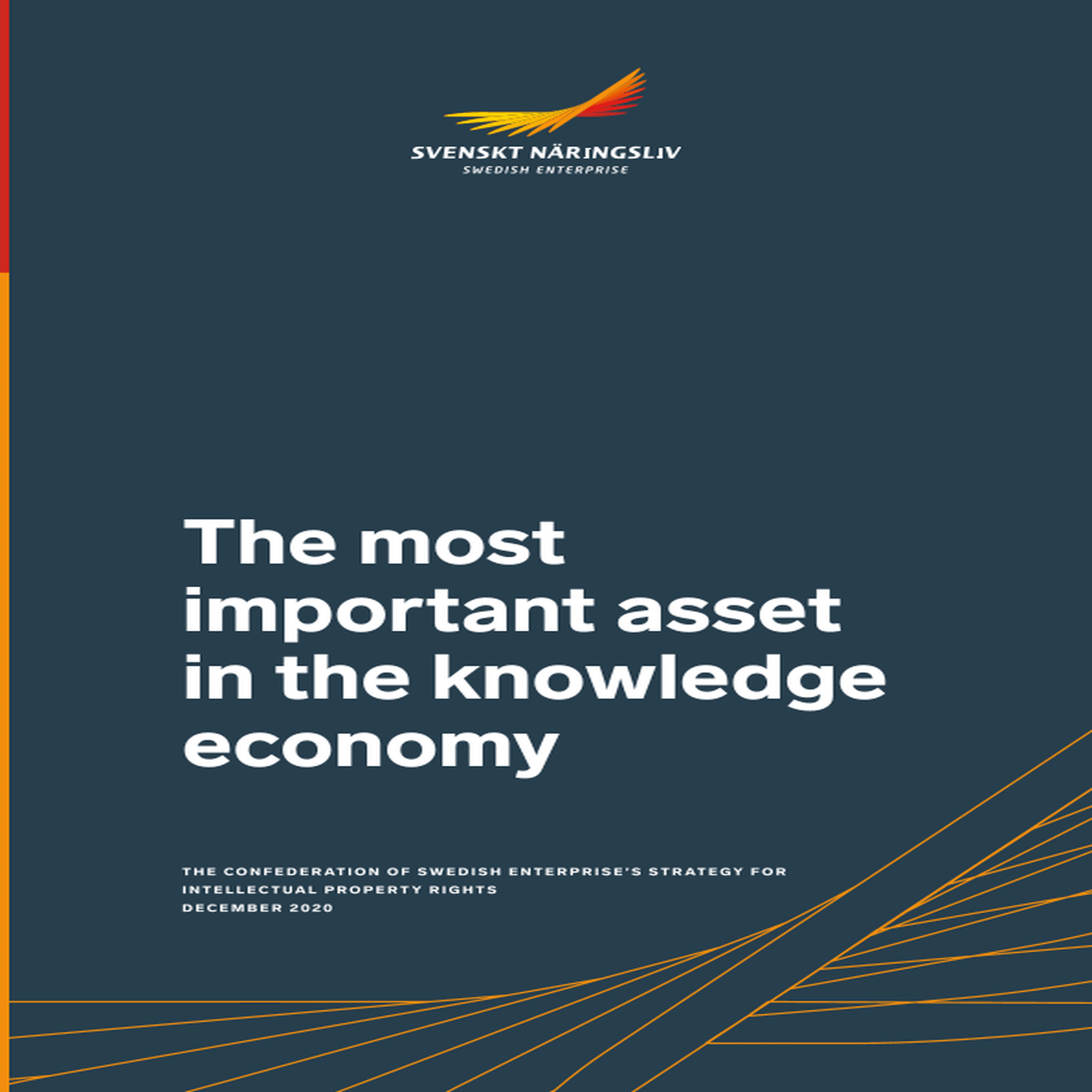 Omslagsbild - Rapport