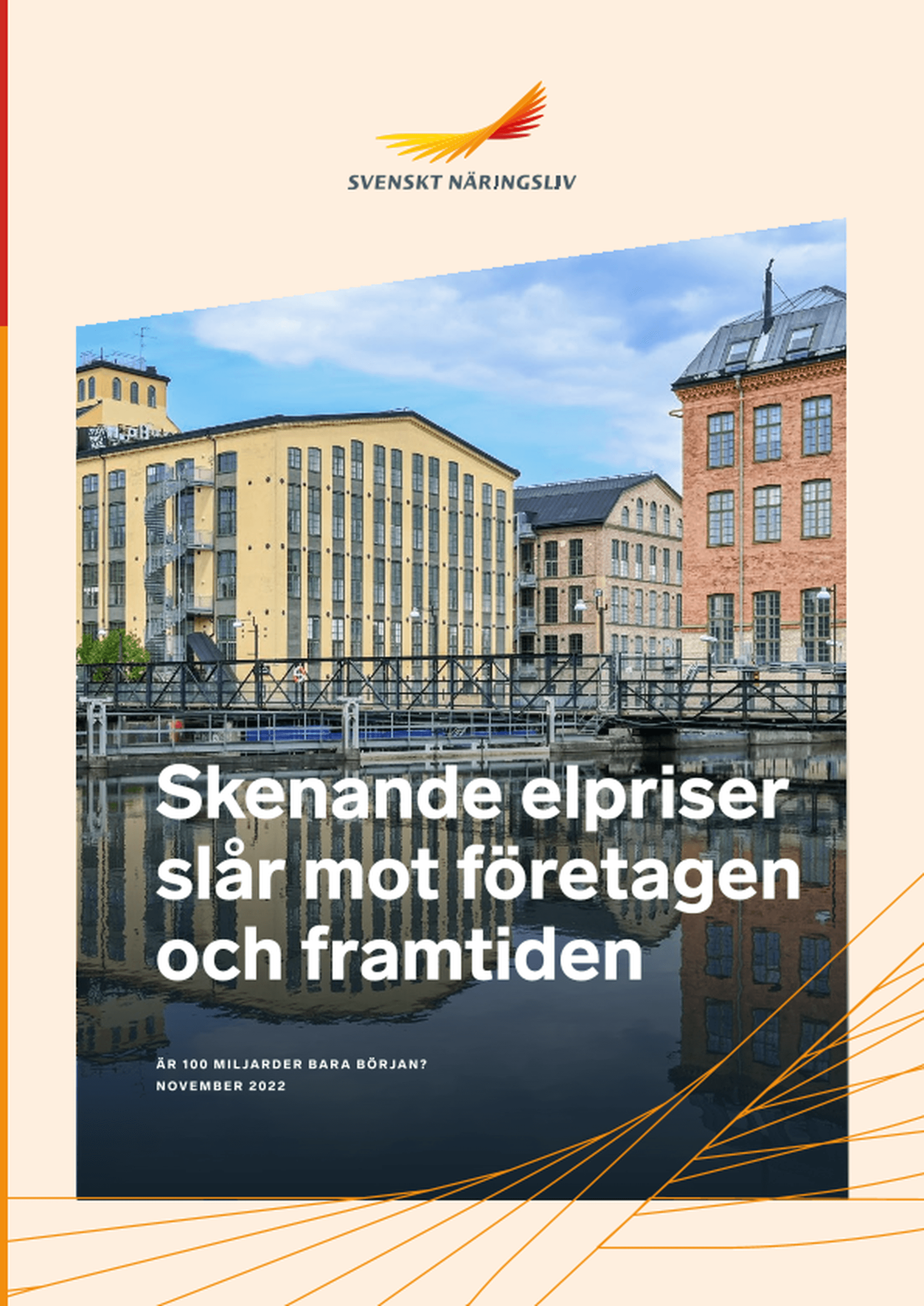 Omslagsbild - Rapport