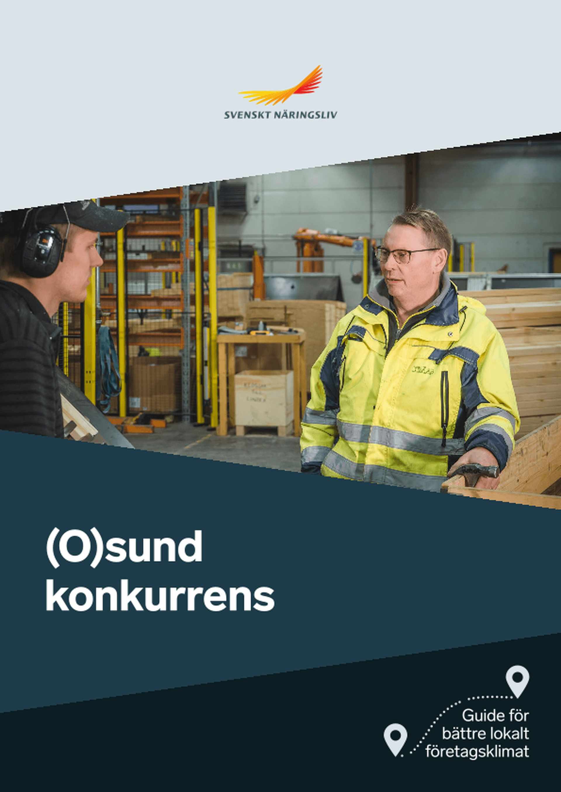 Omslagsbild - Rapport