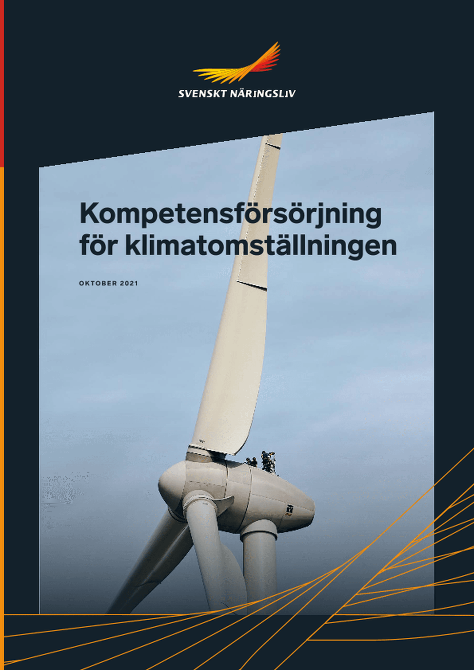 Omslagsbild - Rapport