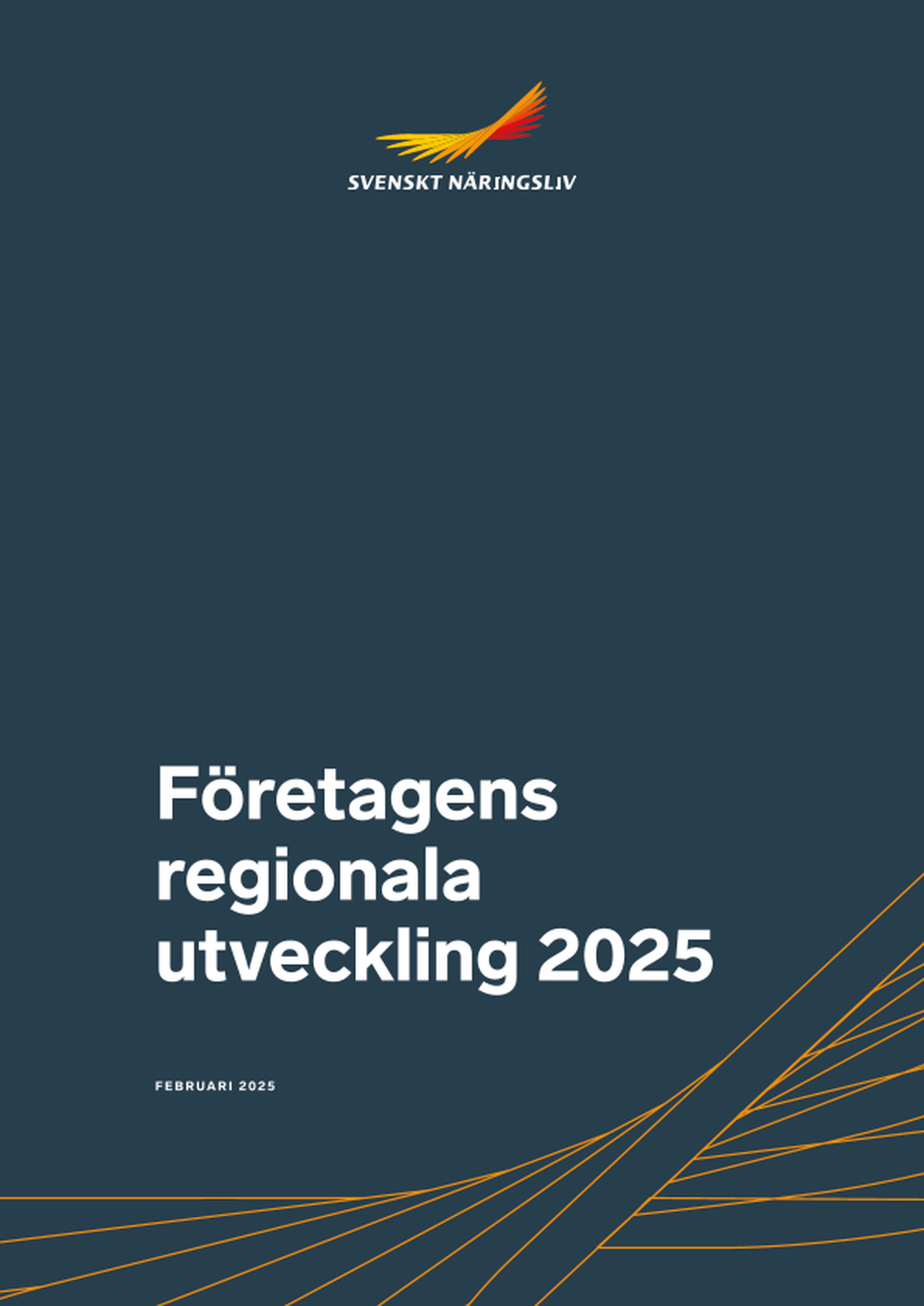 Omslagsbild - Rapport