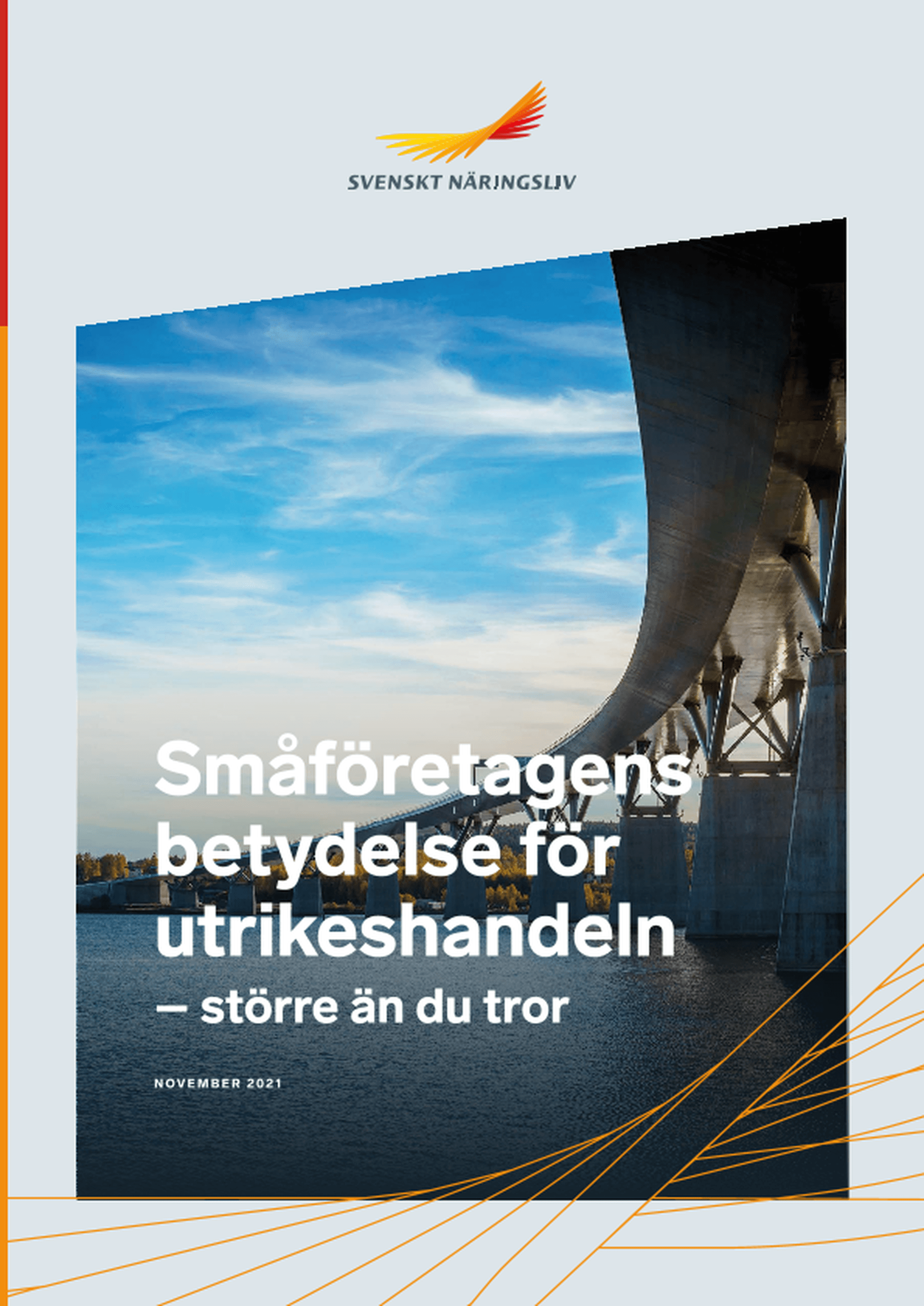 Omslagsbild - Rapport