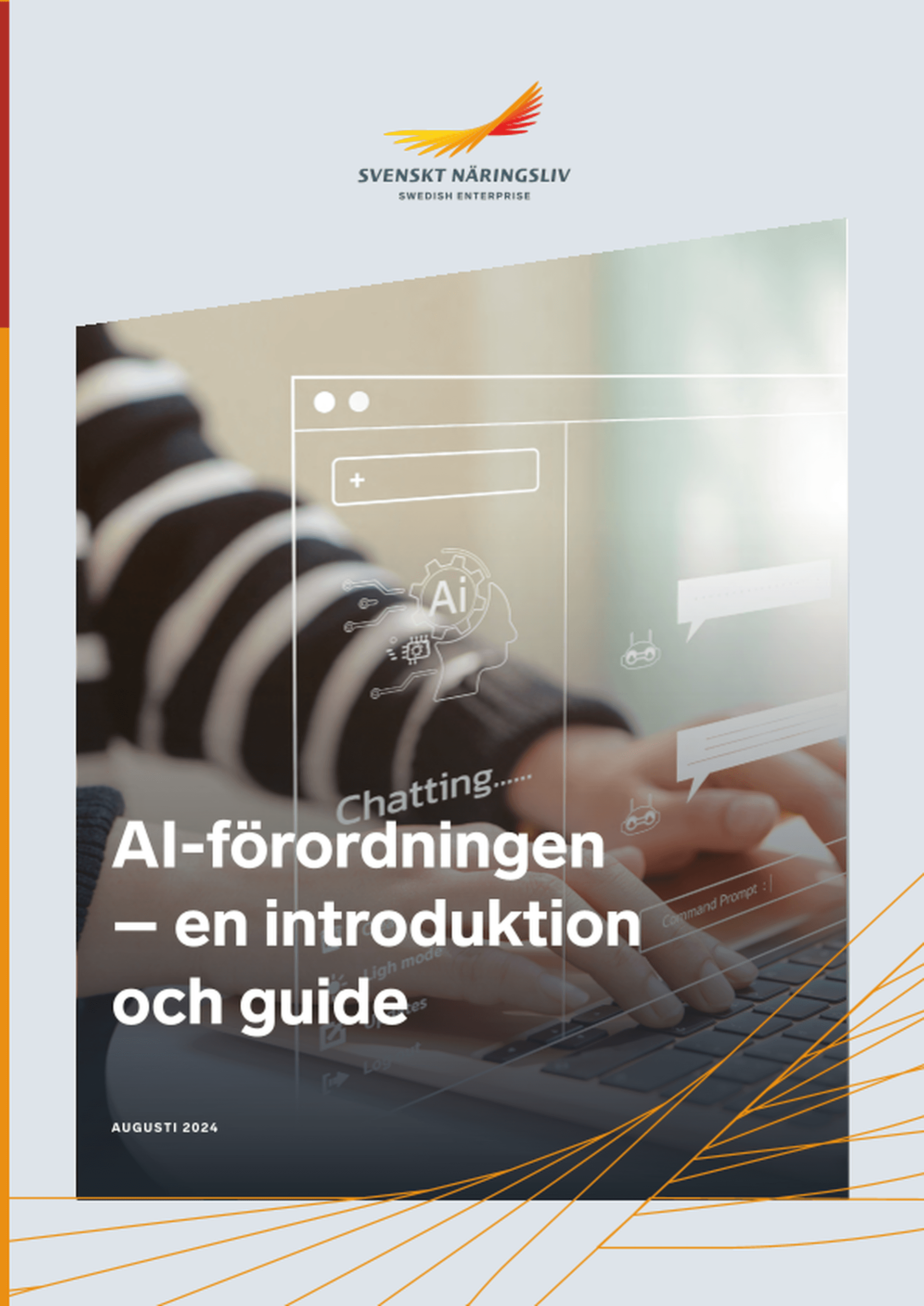 Omslagsbild - Rapport