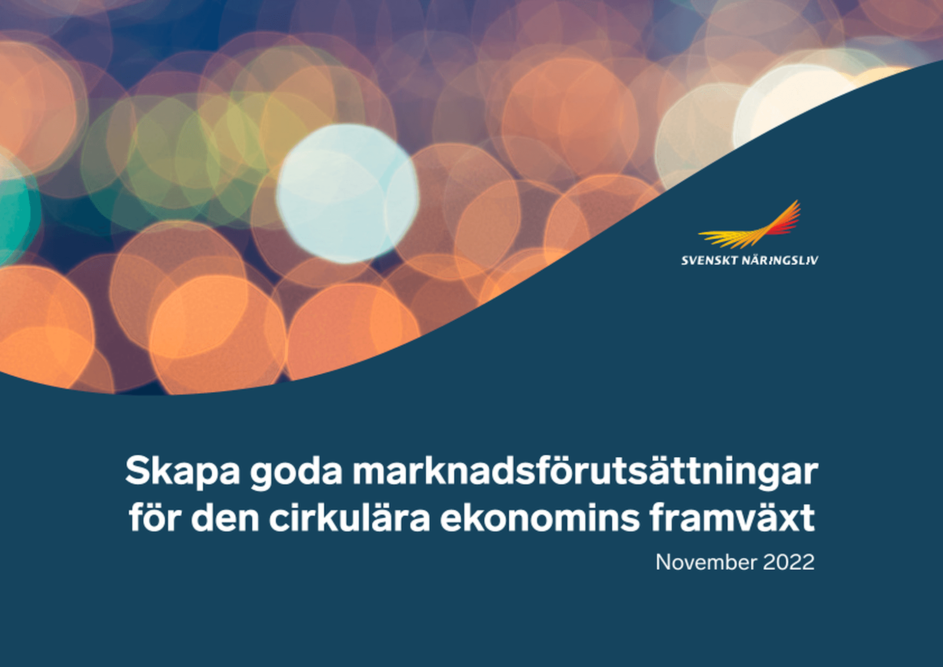 Omslagsbild - Rapport