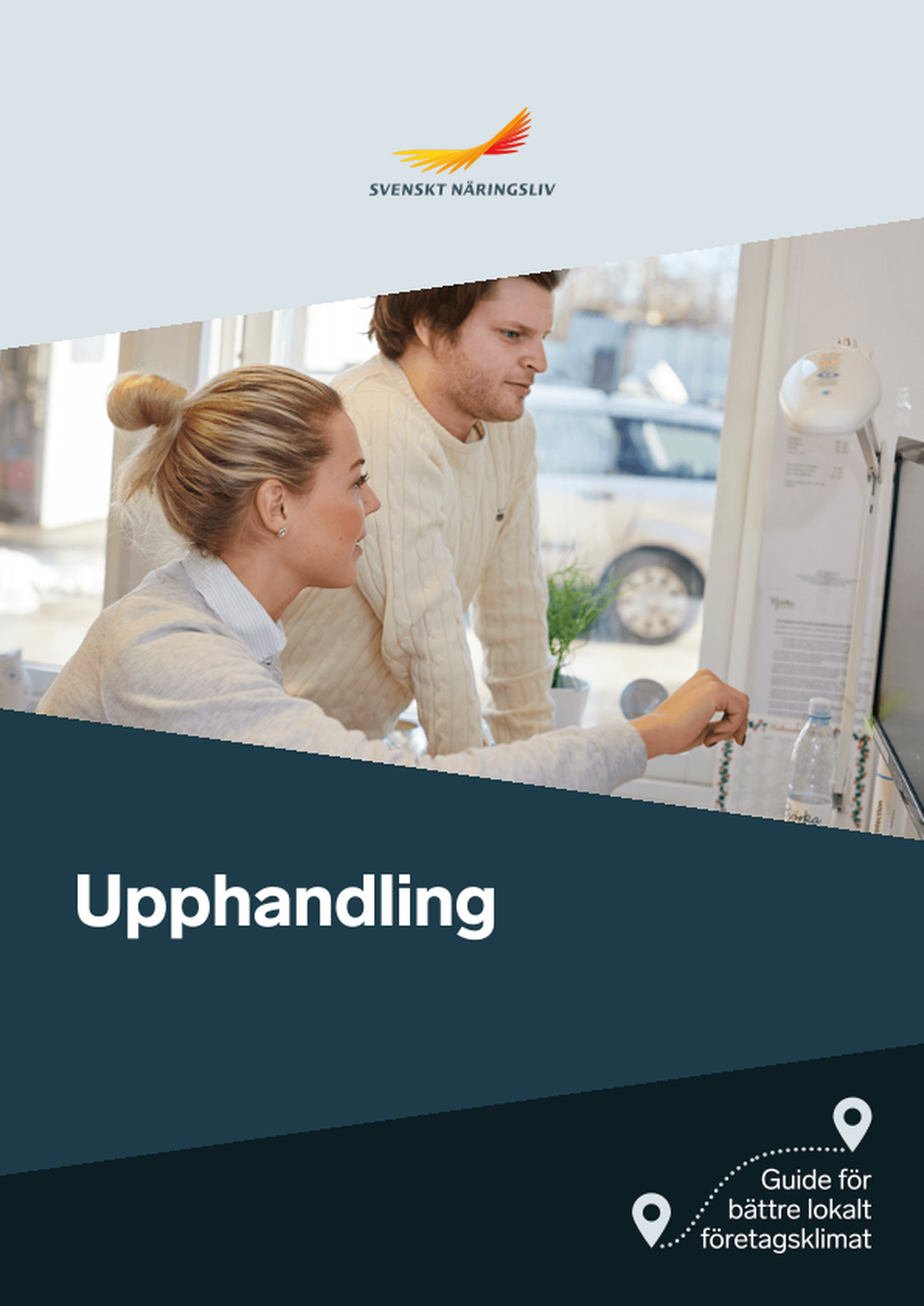 Omslagsbild - Rapport