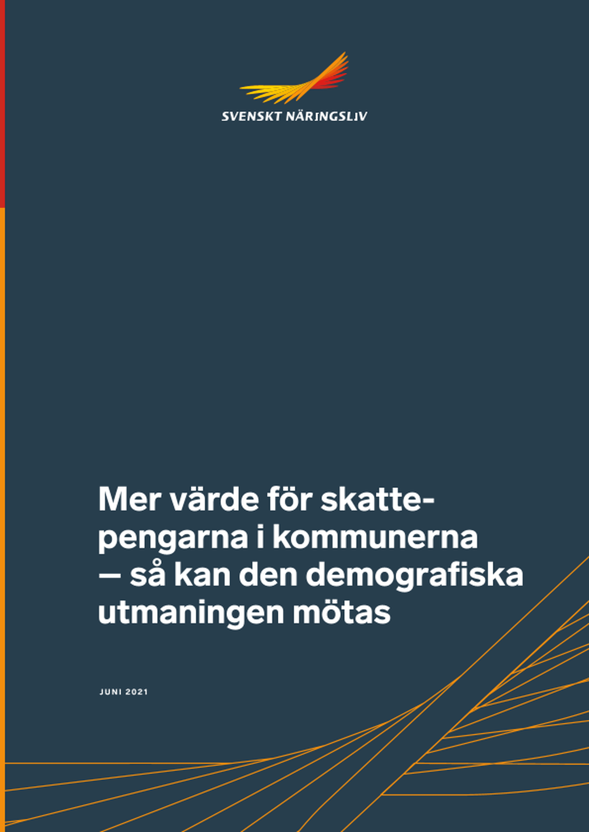Omslagsbild - Rapport