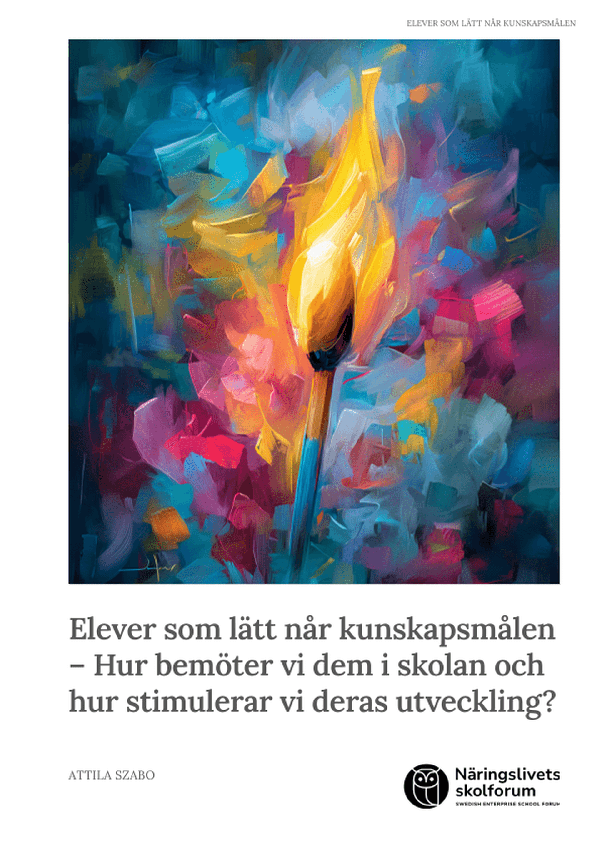 Omslagsbild - Rapport