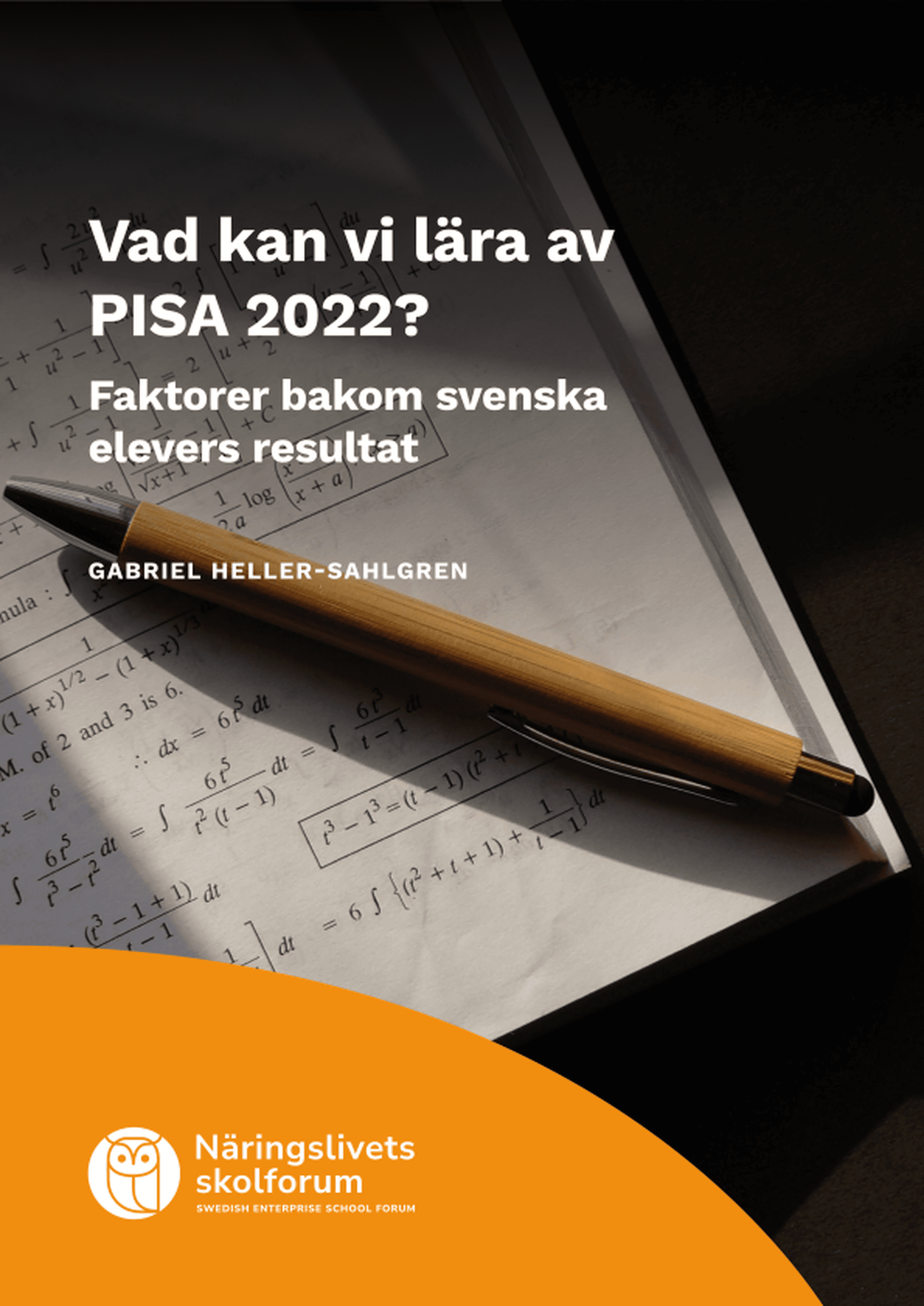 Omslagsbild - Rapport