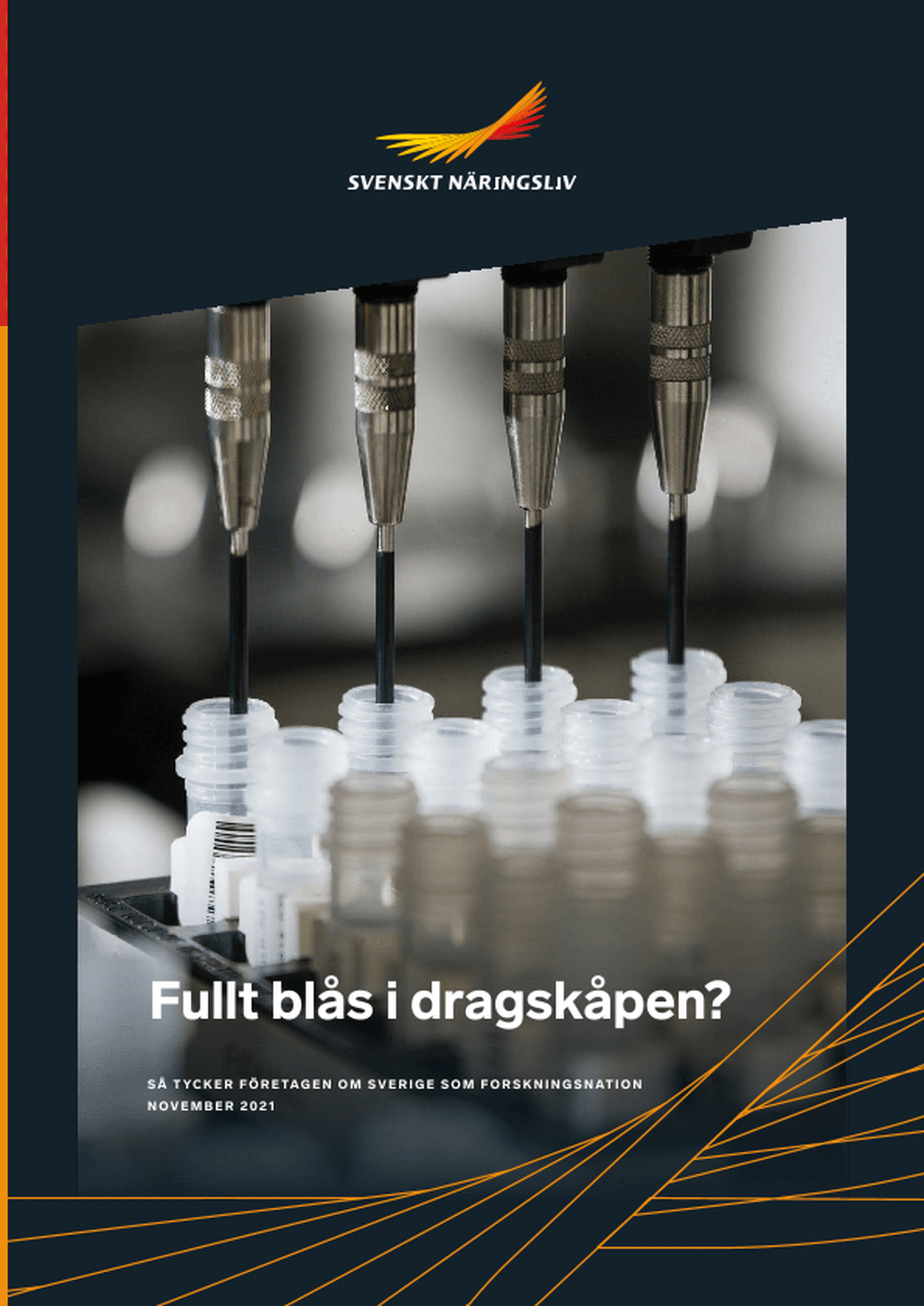 Omslagsbild - Rapport