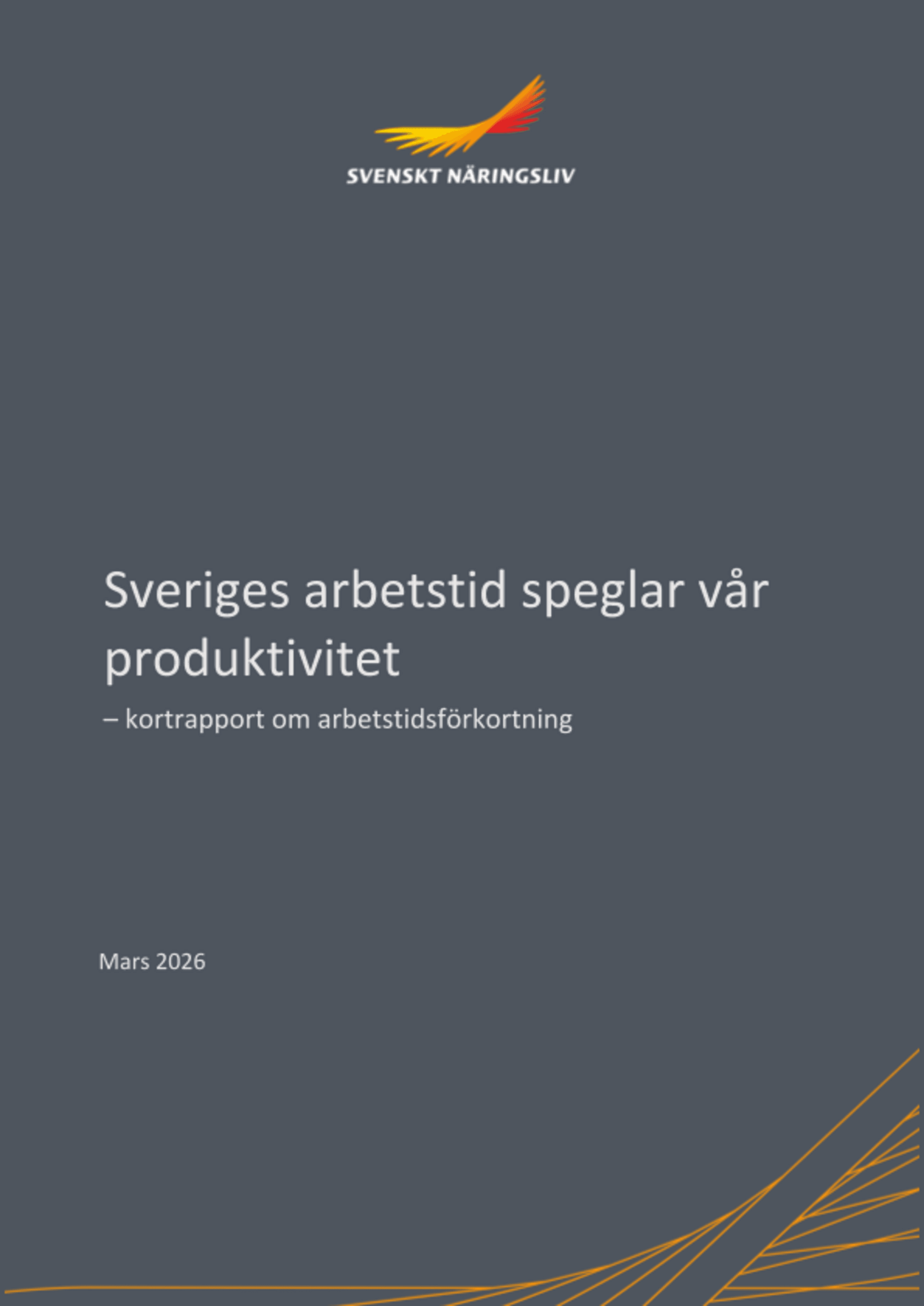 Omslagsbild - Rapport