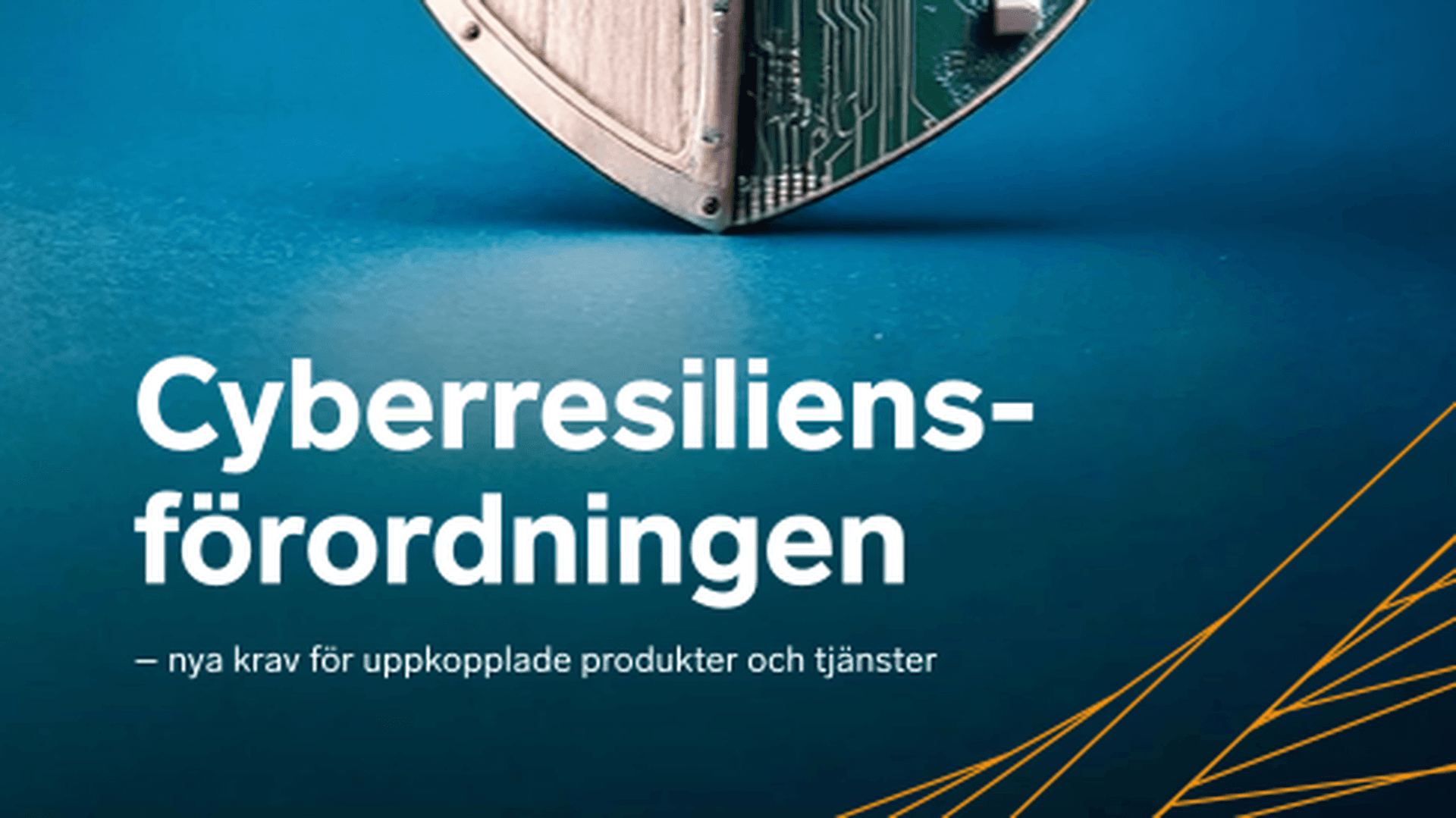 Omslagsbild - Rapport