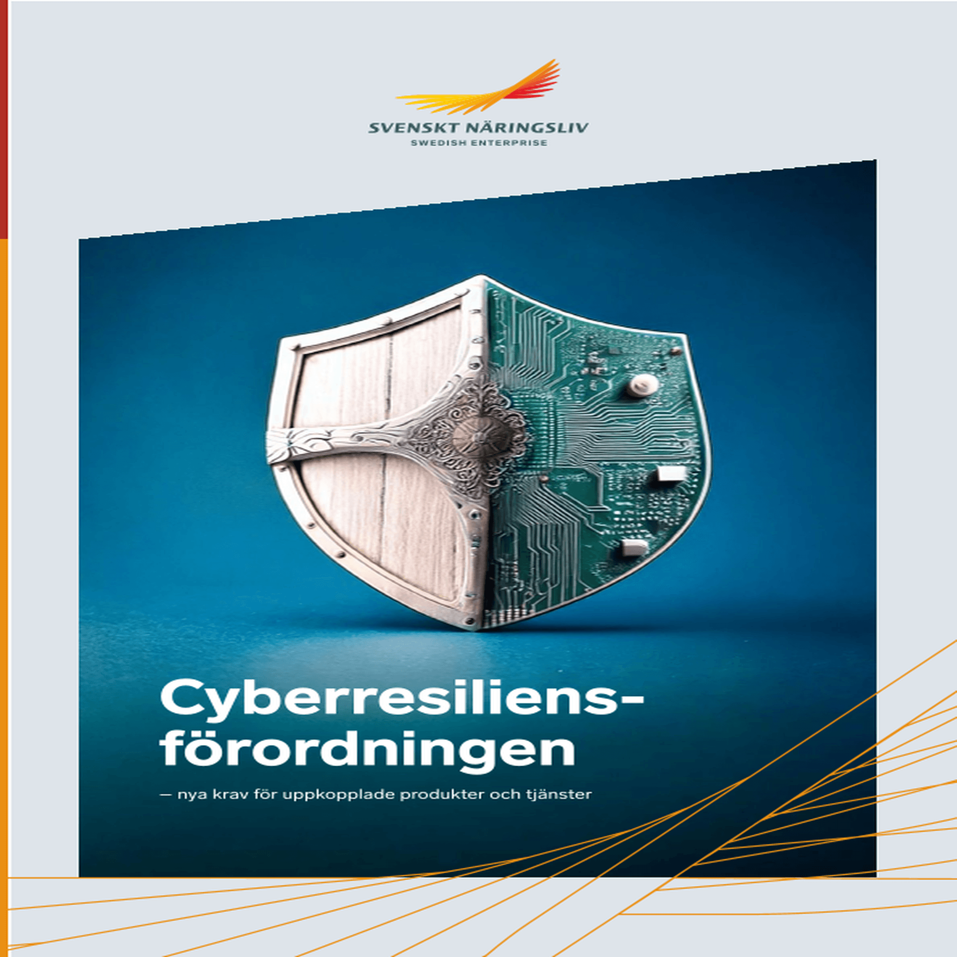 Omslagsbild - Rapport