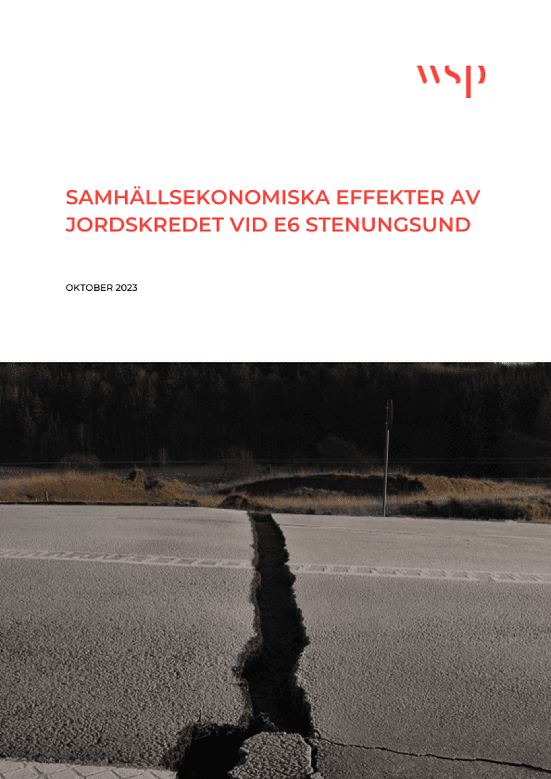 Omslagsbild - Rapport