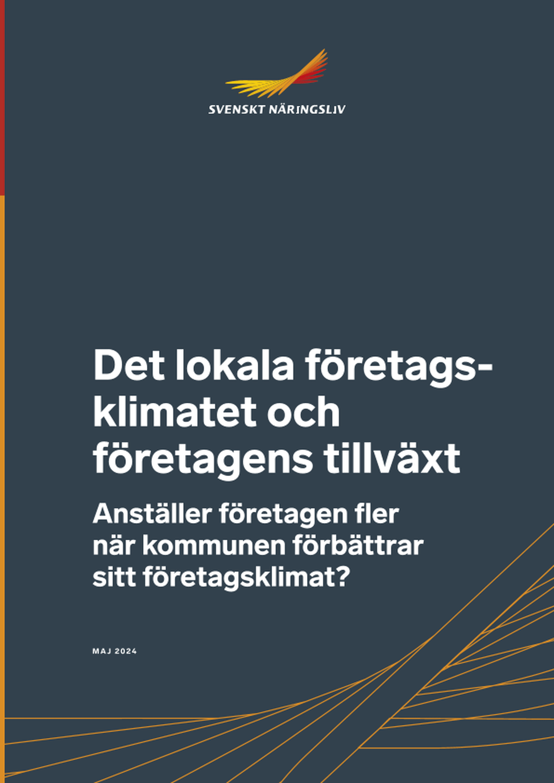 Omslagsbild - Rapport