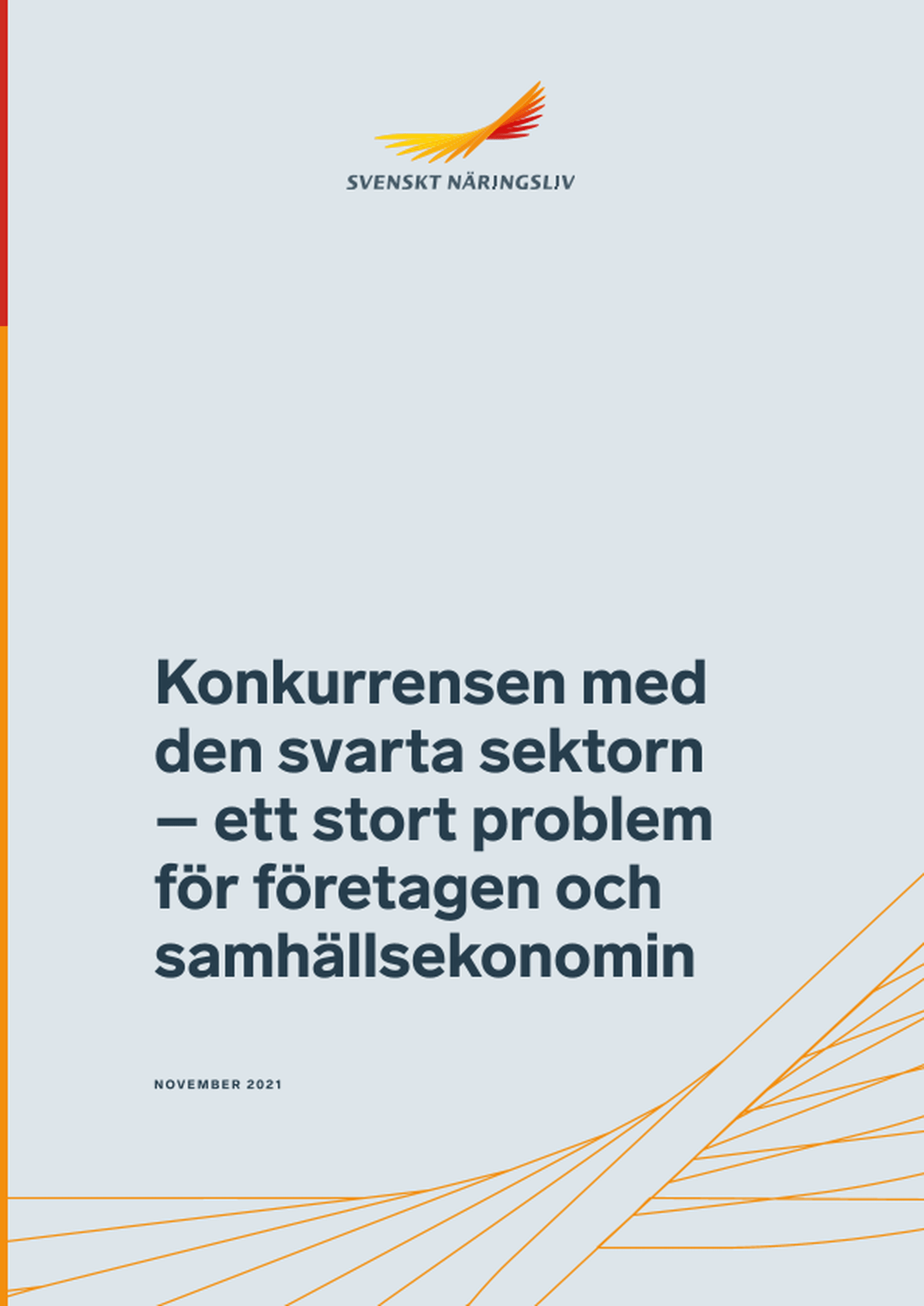 Omslagsbild - Rapport