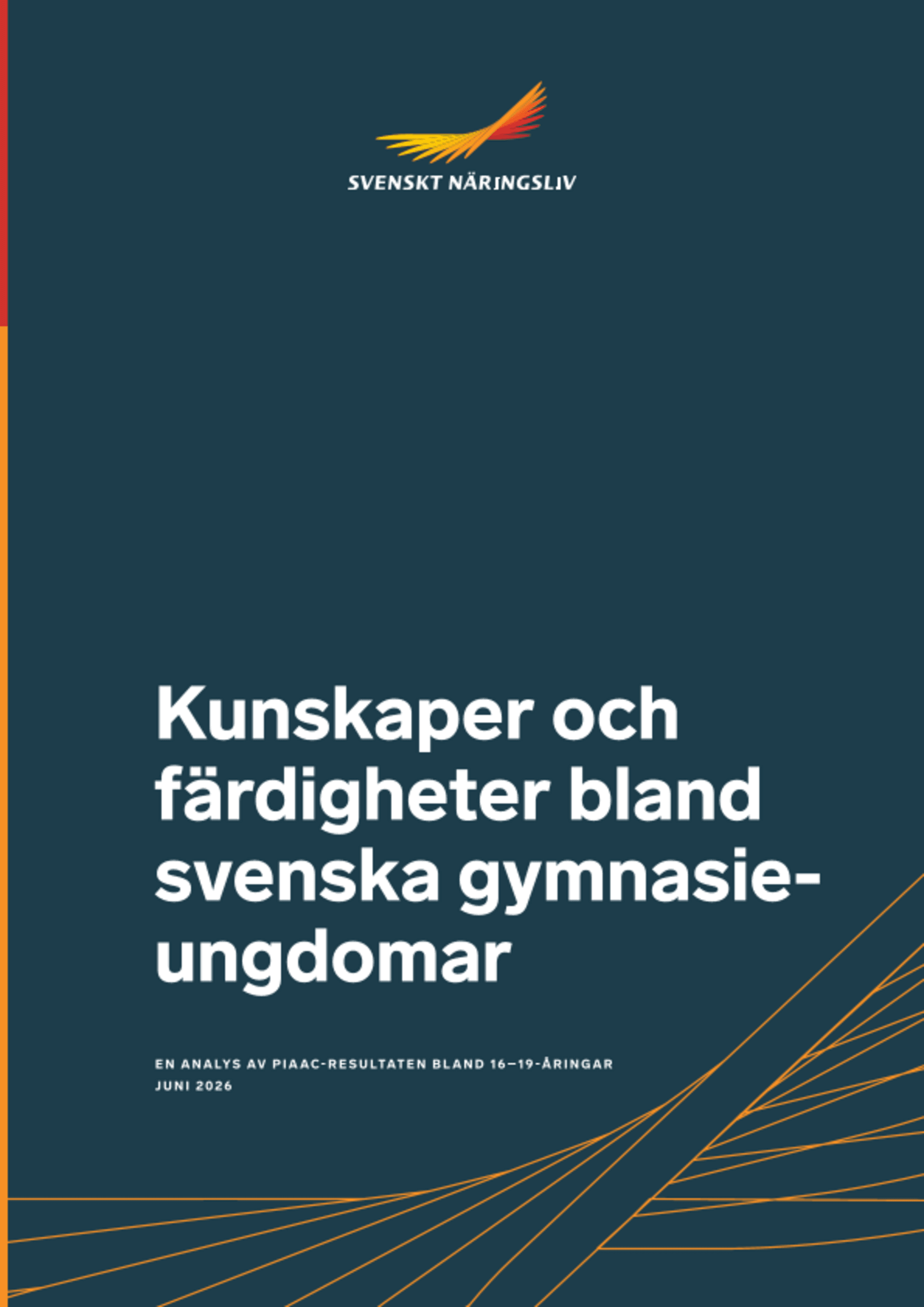 Omslagsbild - Rapport