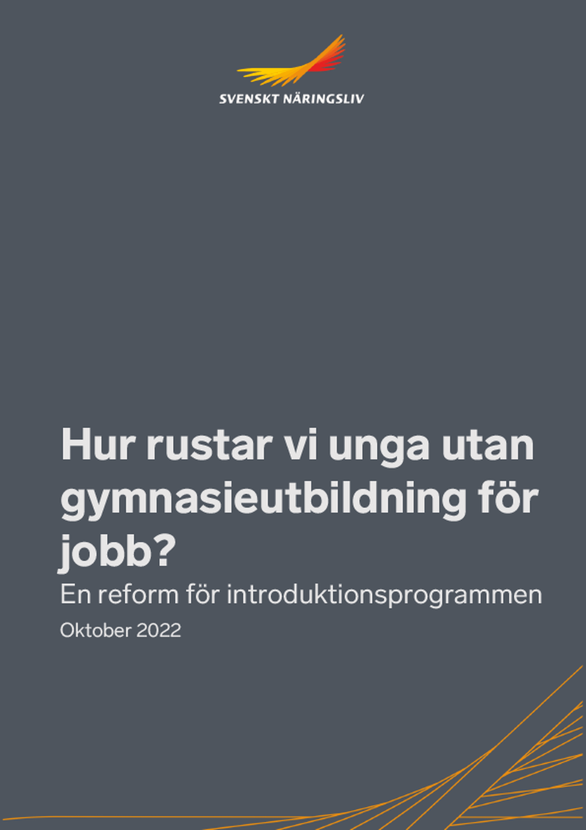 Omslagsbild - Rapport
