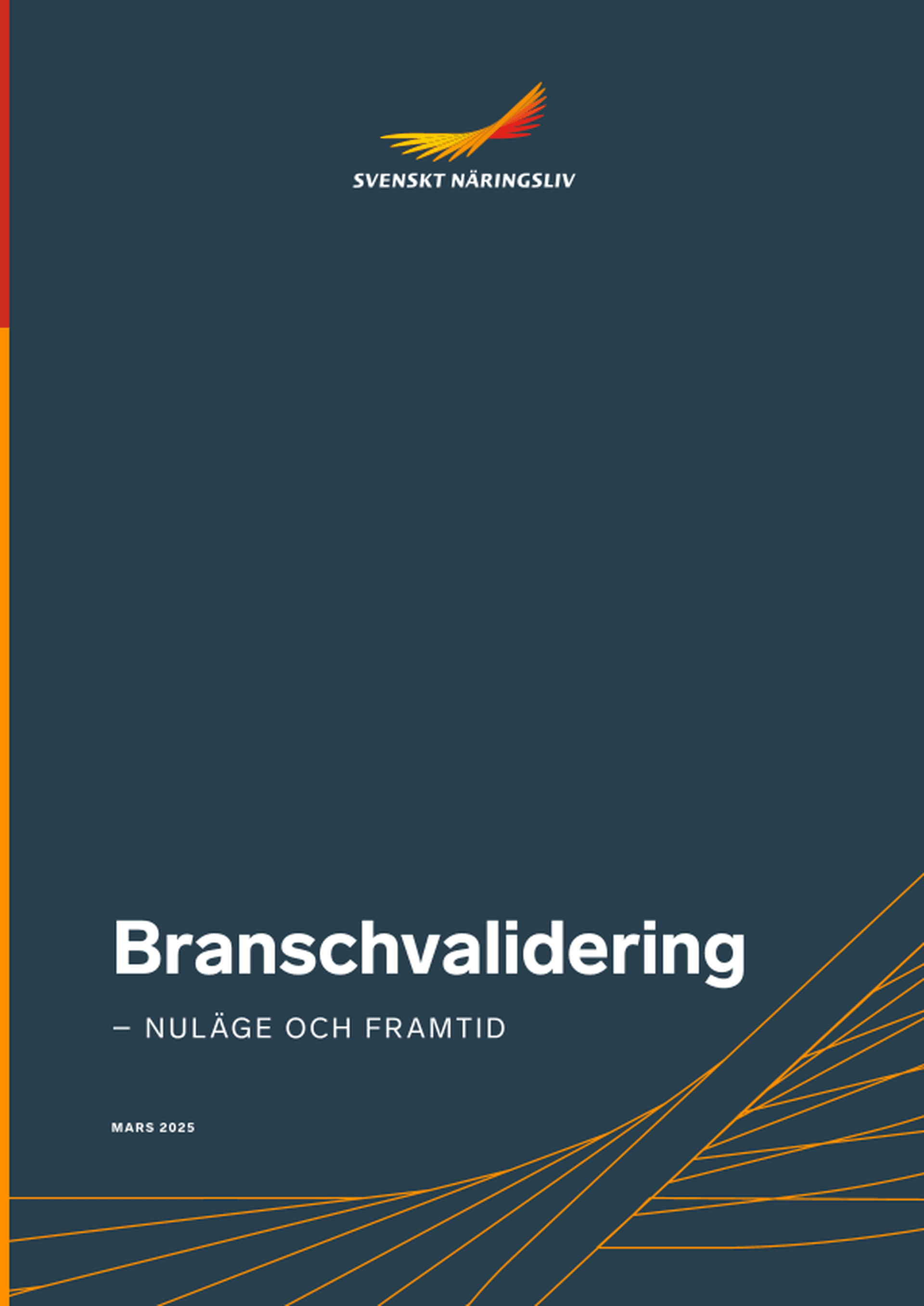 Omslagsbild - Rapport