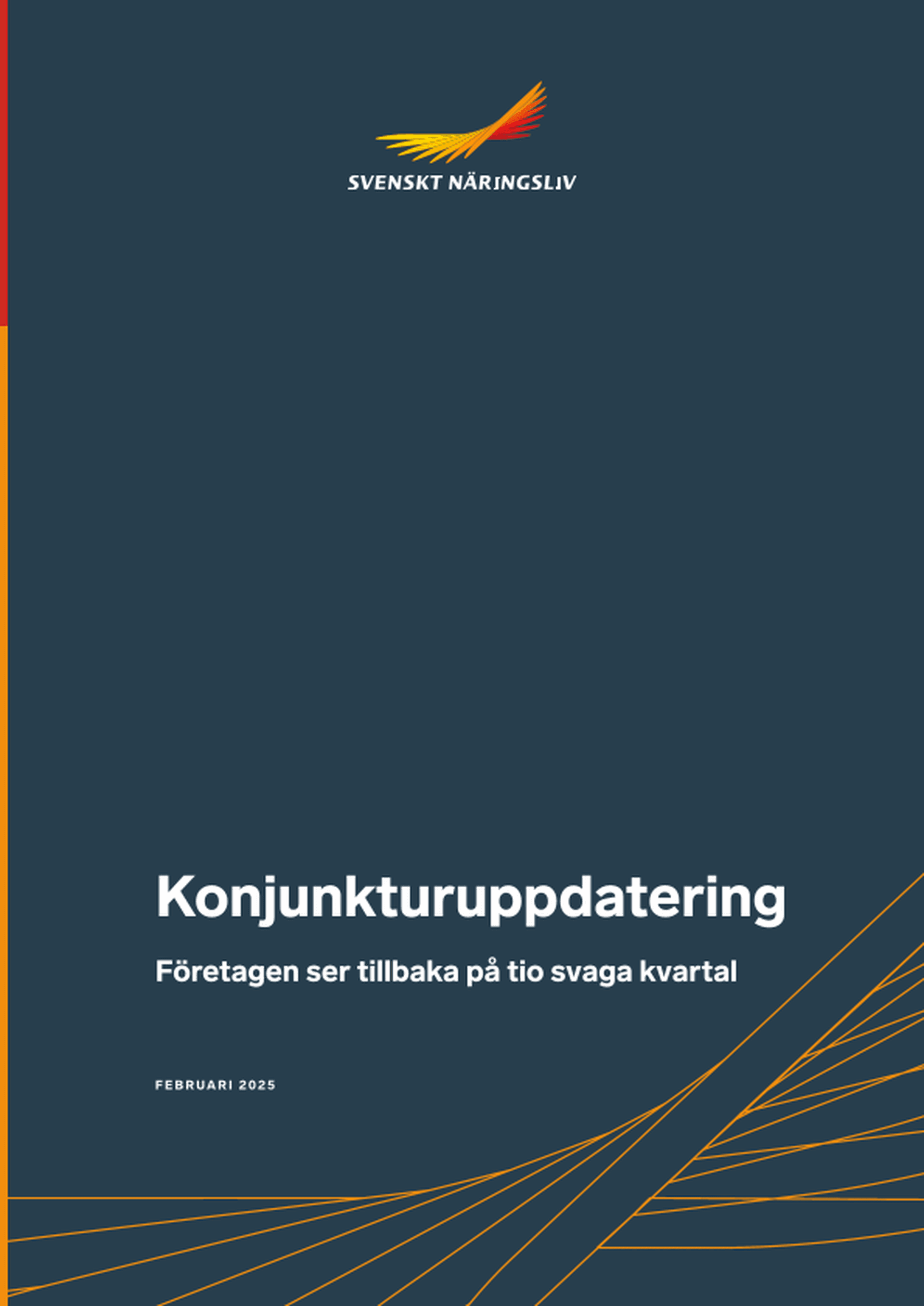 Omslagsbild - Rapport
