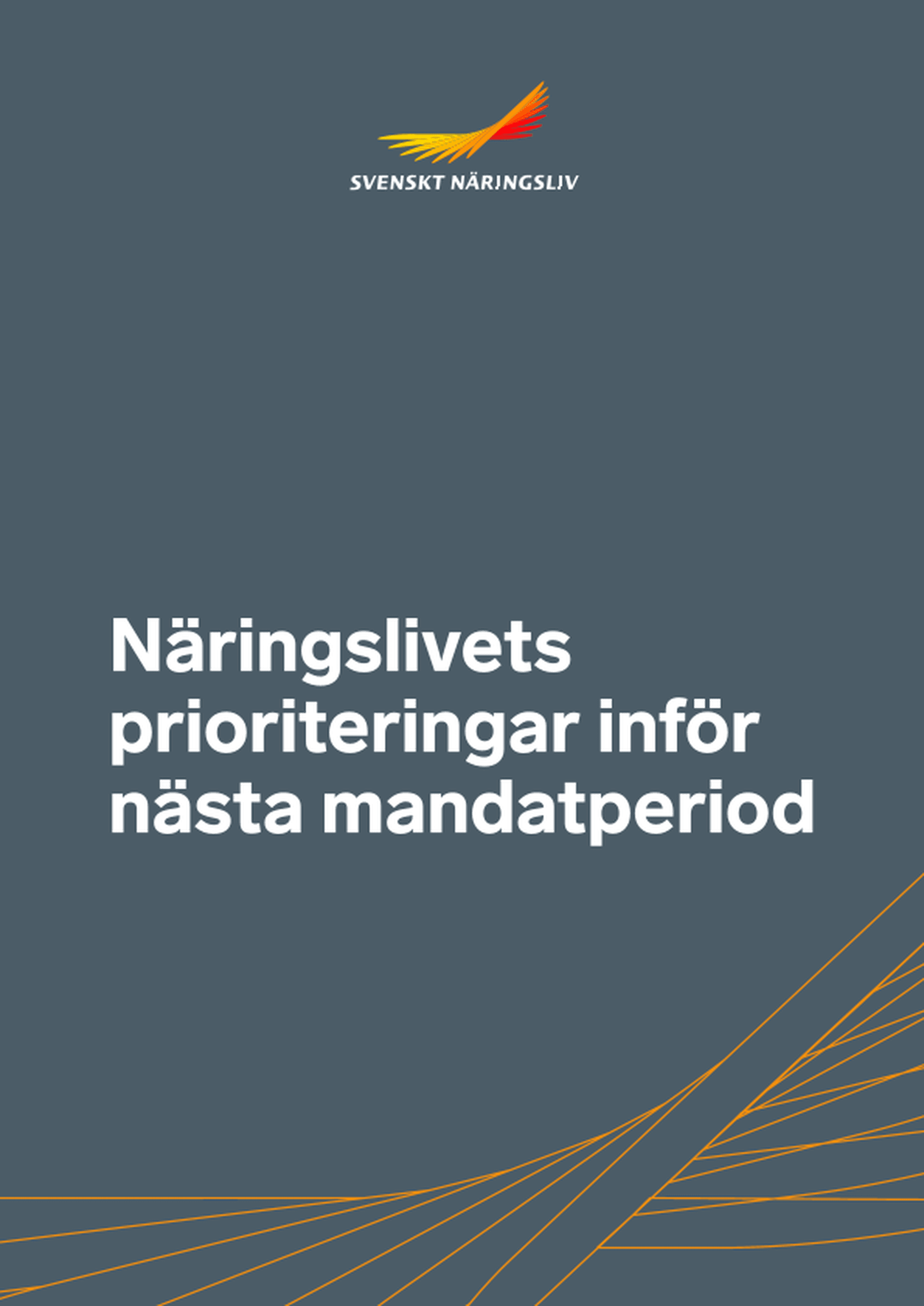 Omslagsbild - Rapport