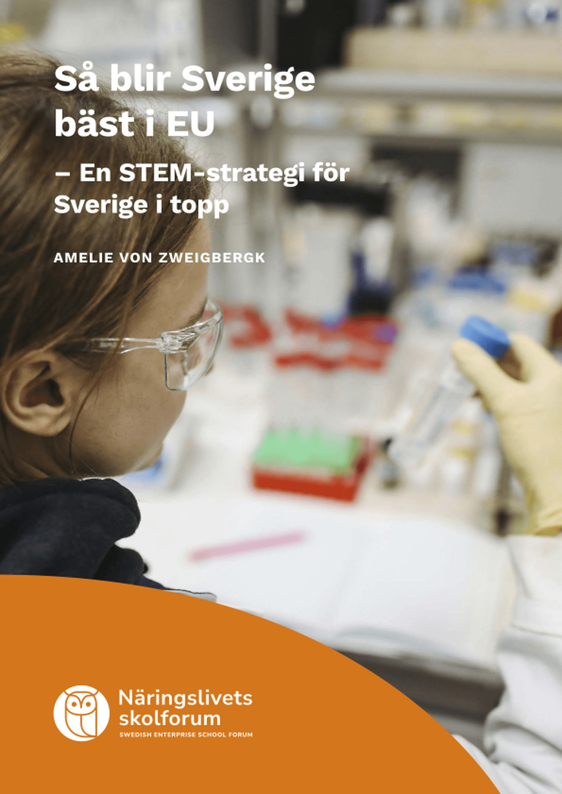 Omslagsbild - Rapport