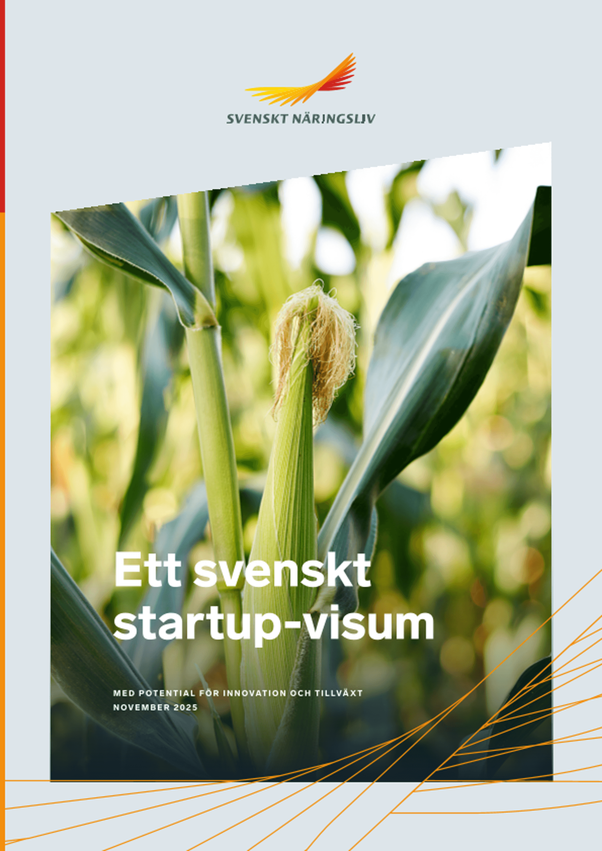 Omslagsbild - Rapport