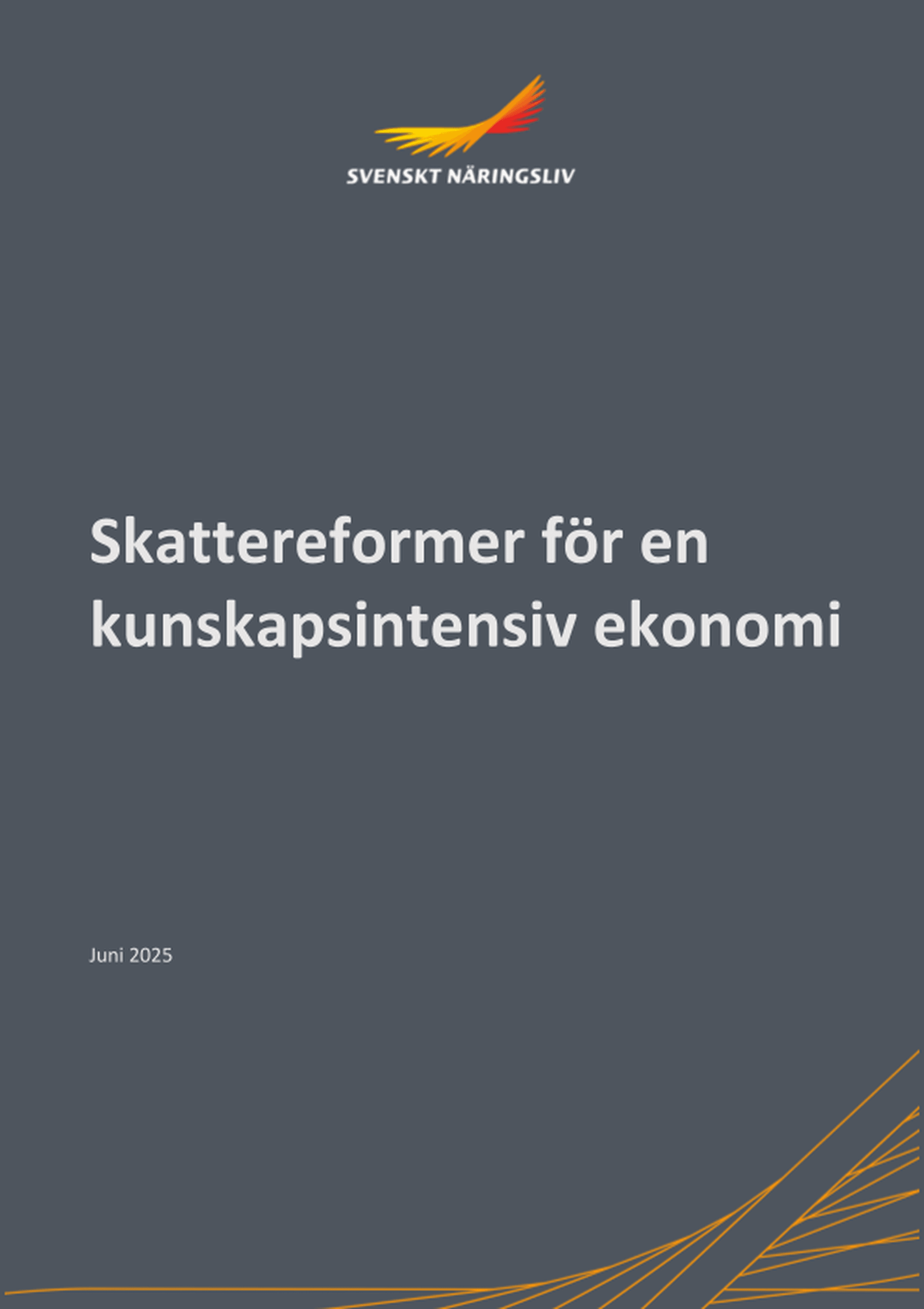 Omslagsbild - Rapport