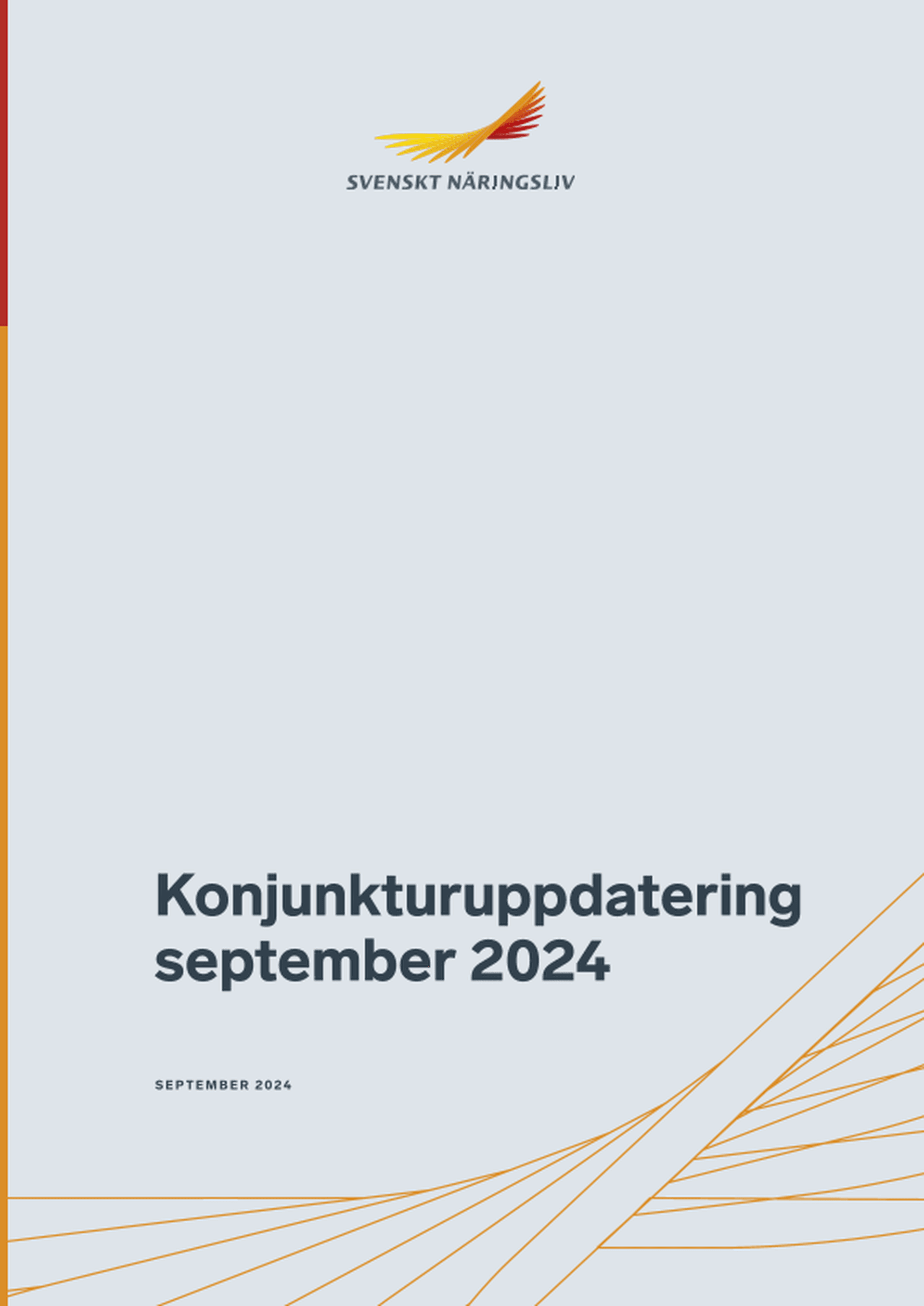 Omslagsbild - Rapport