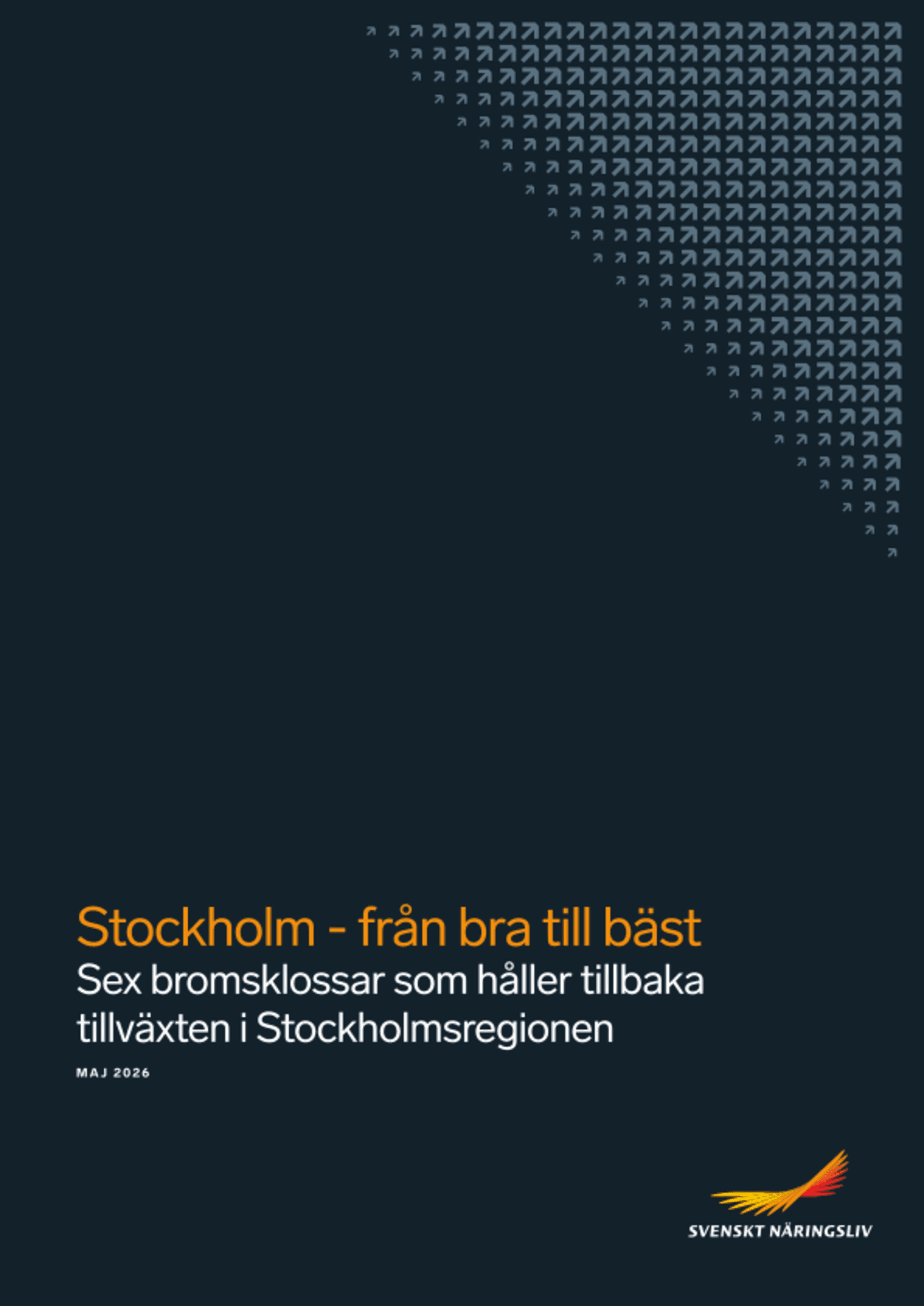 Omslagsbild - Rapport