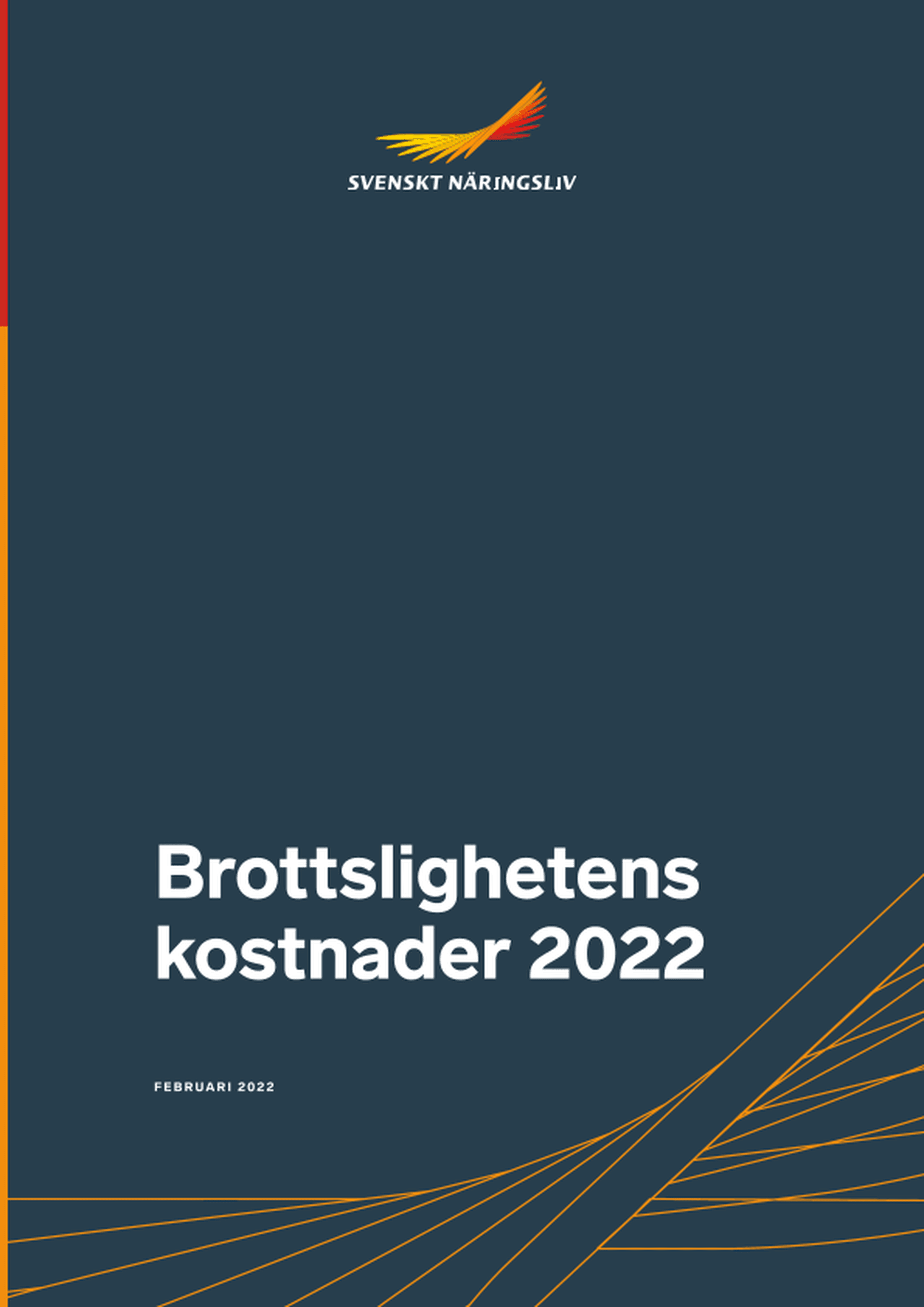 Omslagsbild - Rapport