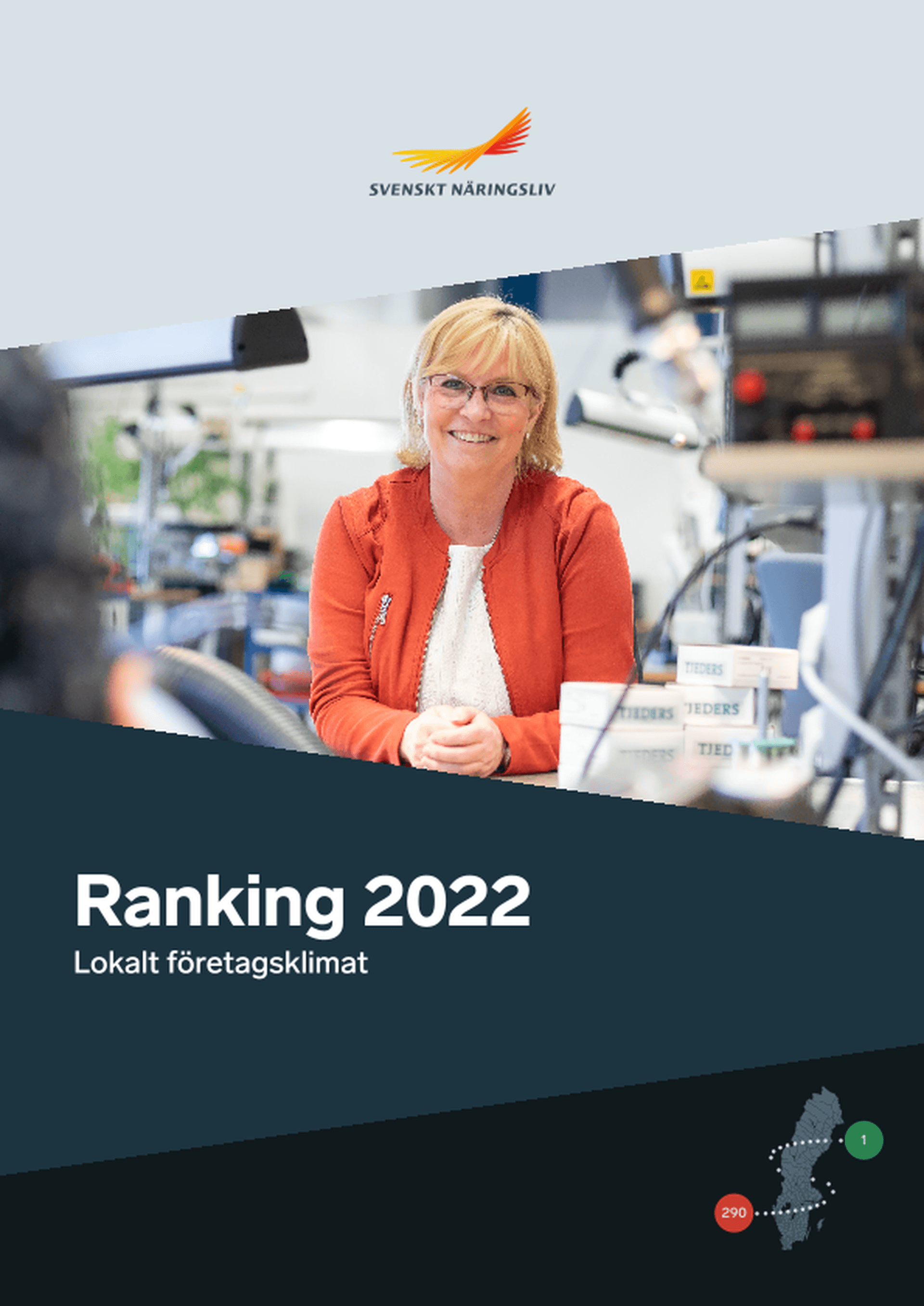 Omslagsbild - Rapport