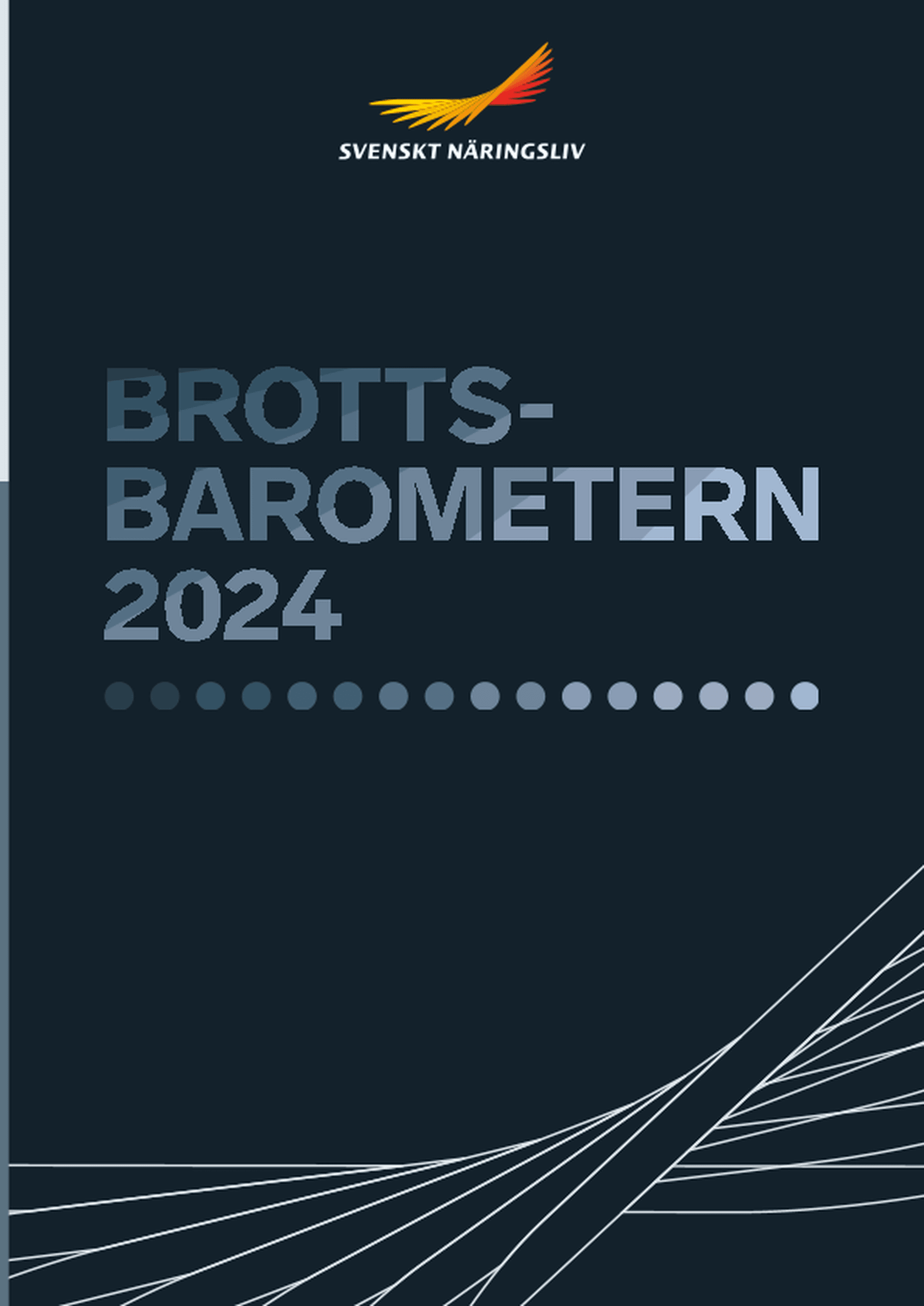 Omslagsbild - Rapport