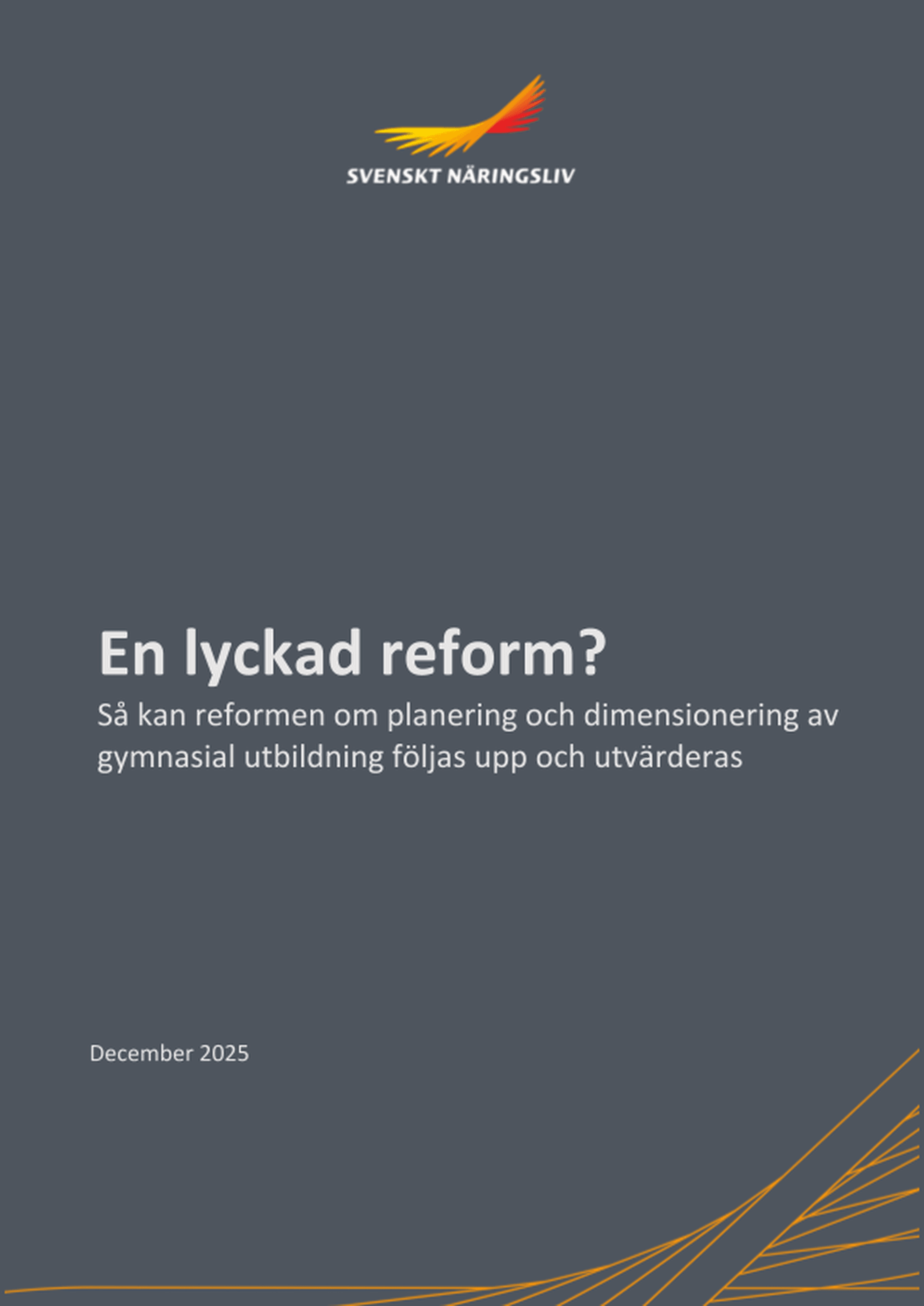 Omslagsbild - Rapport