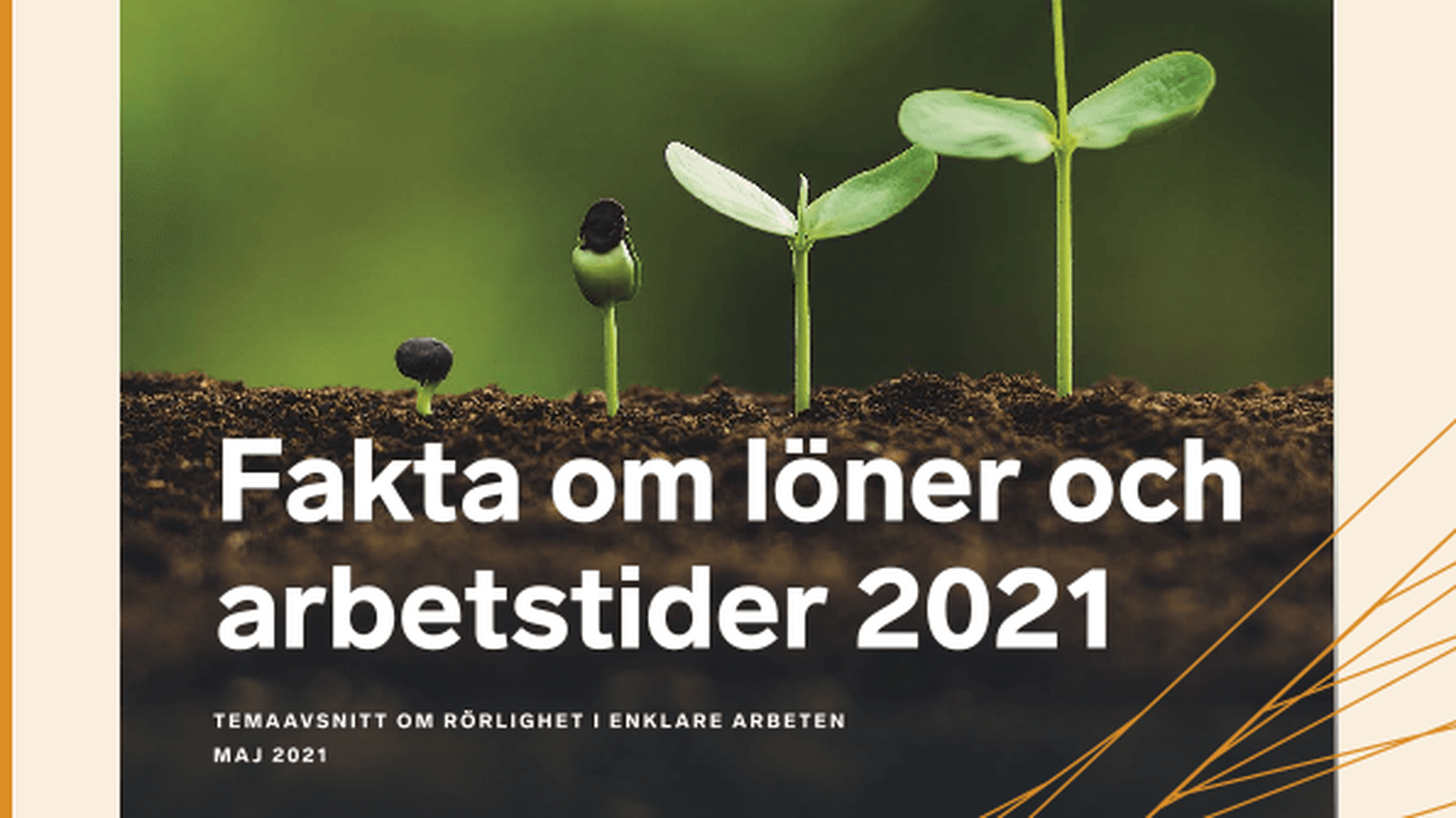 Omslagsbild - Rapport