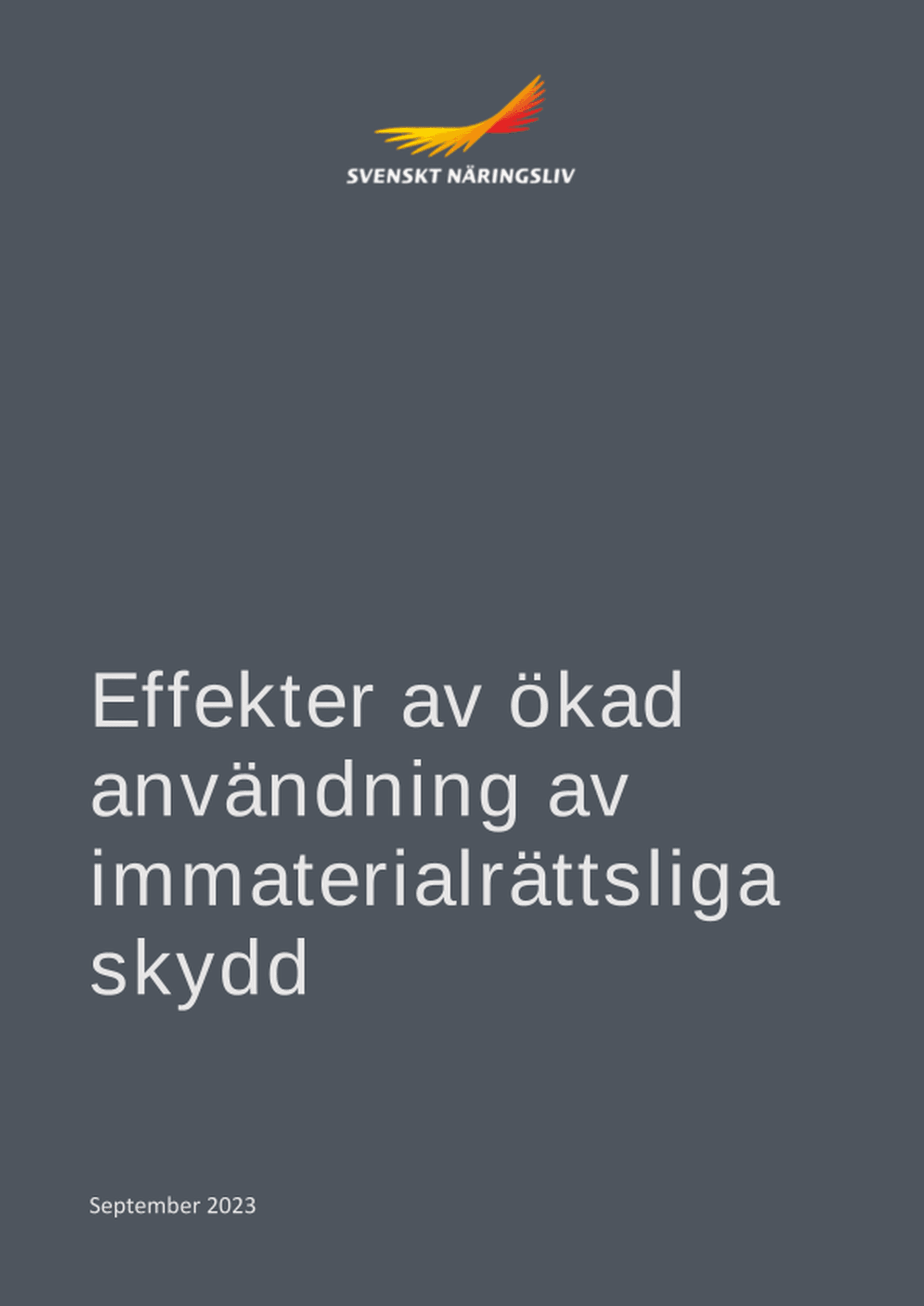 Omslagsbild - Rapport
