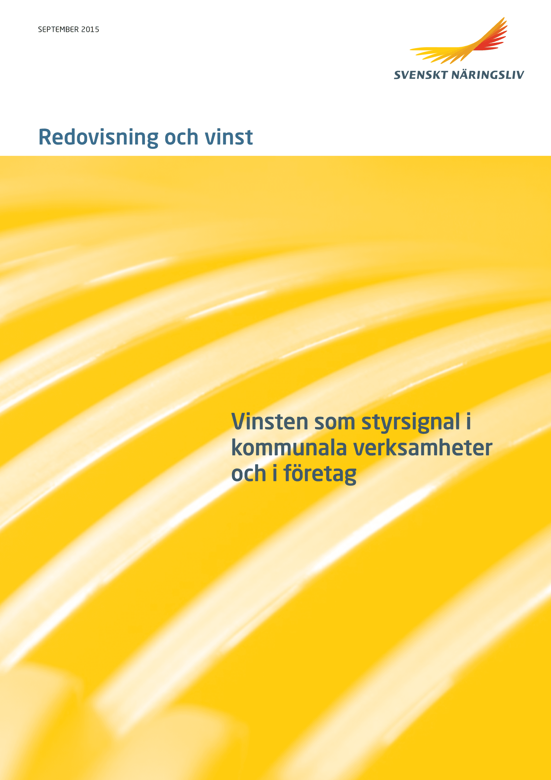 Redovisning och vinst.png