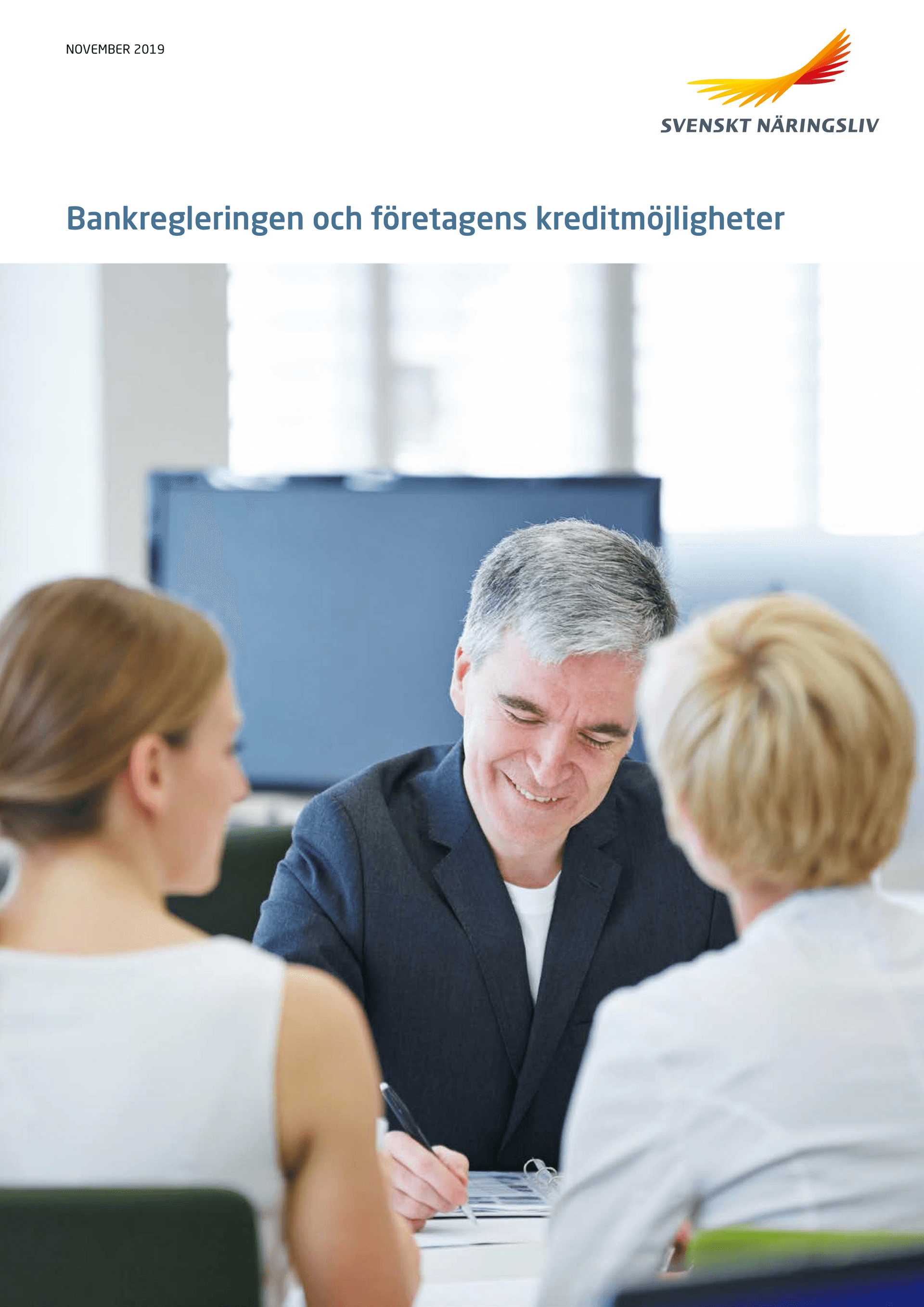 2285161_SNL_Rapport_Bankfinansiering_WEBB.pdf.png