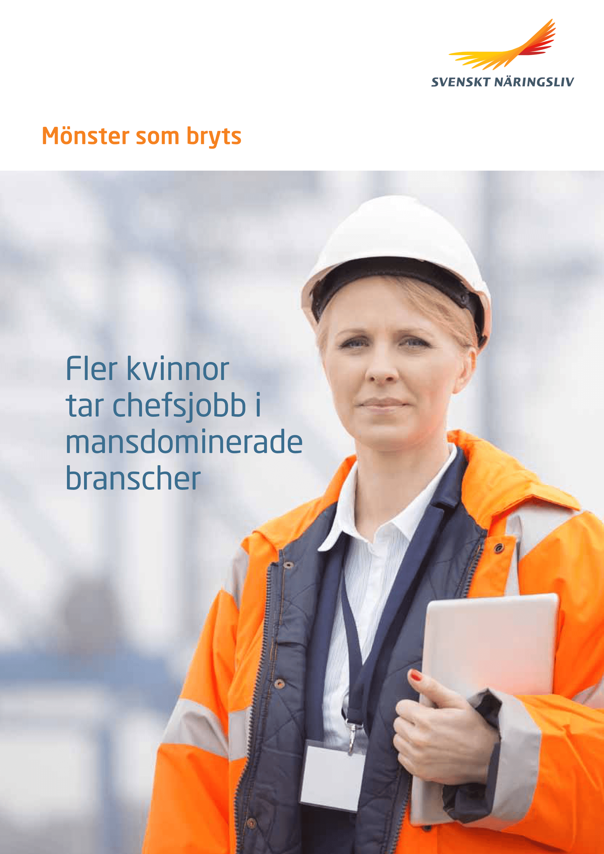 Fler kvinnor tar chefsjobb.pdf.png