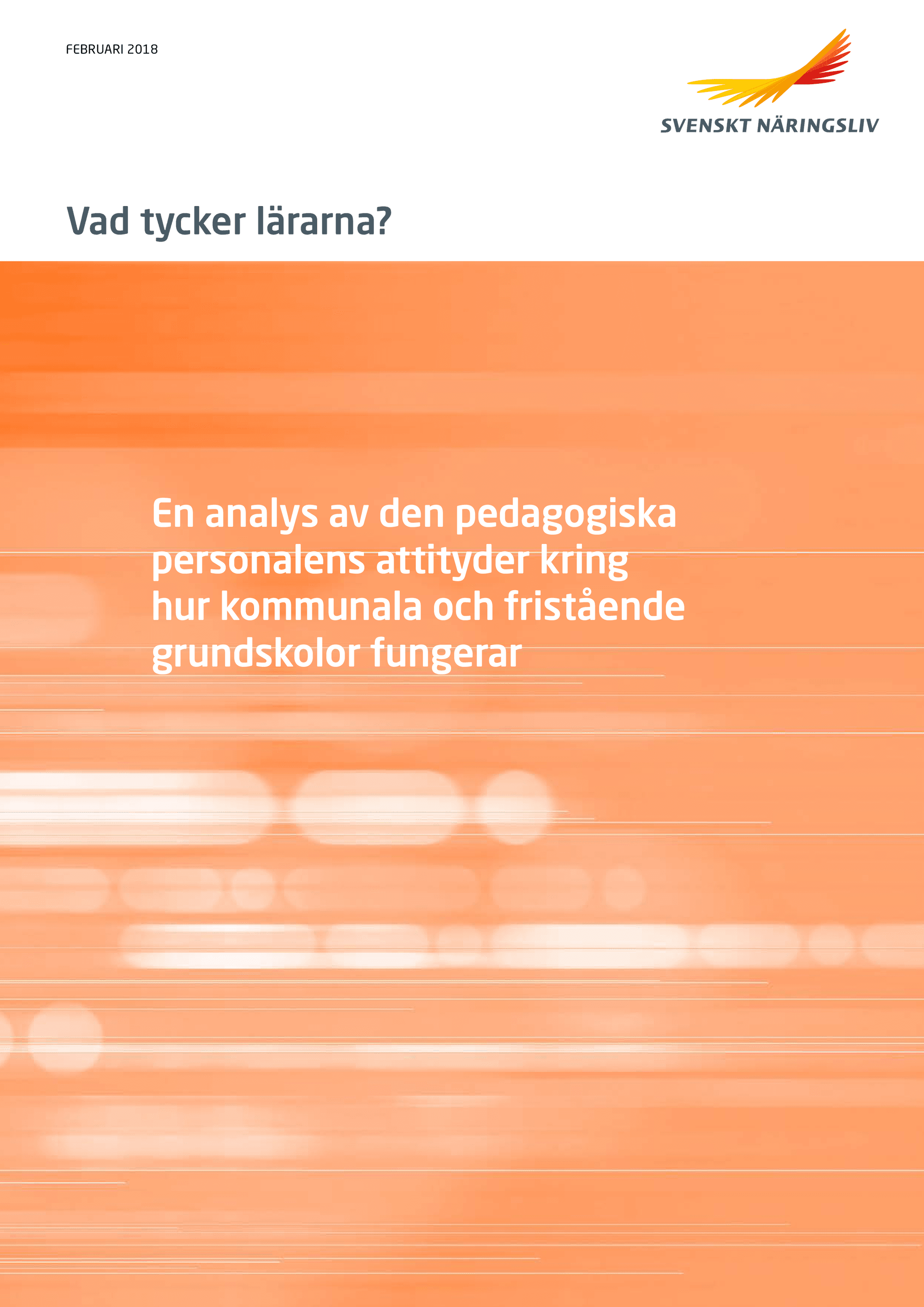 Rapport_Vad_tycker_lararna_webb_180228.pdf.png