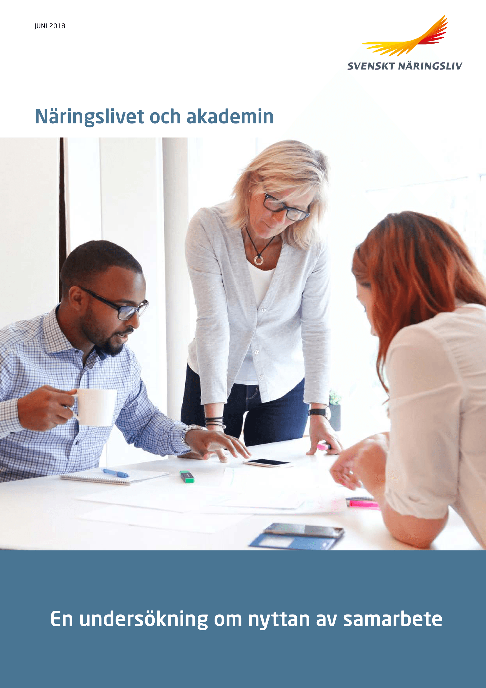 Naringslivet_och_akademin.pdf.png