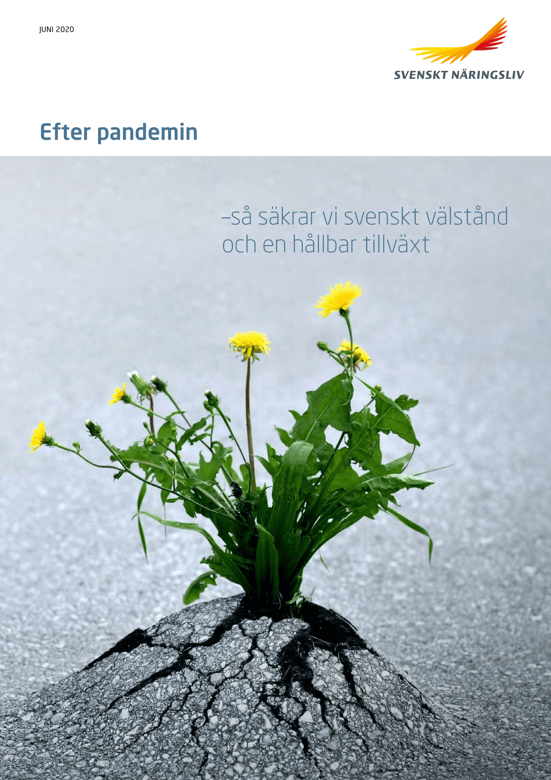 scenariorapport_webb.pdf.png
