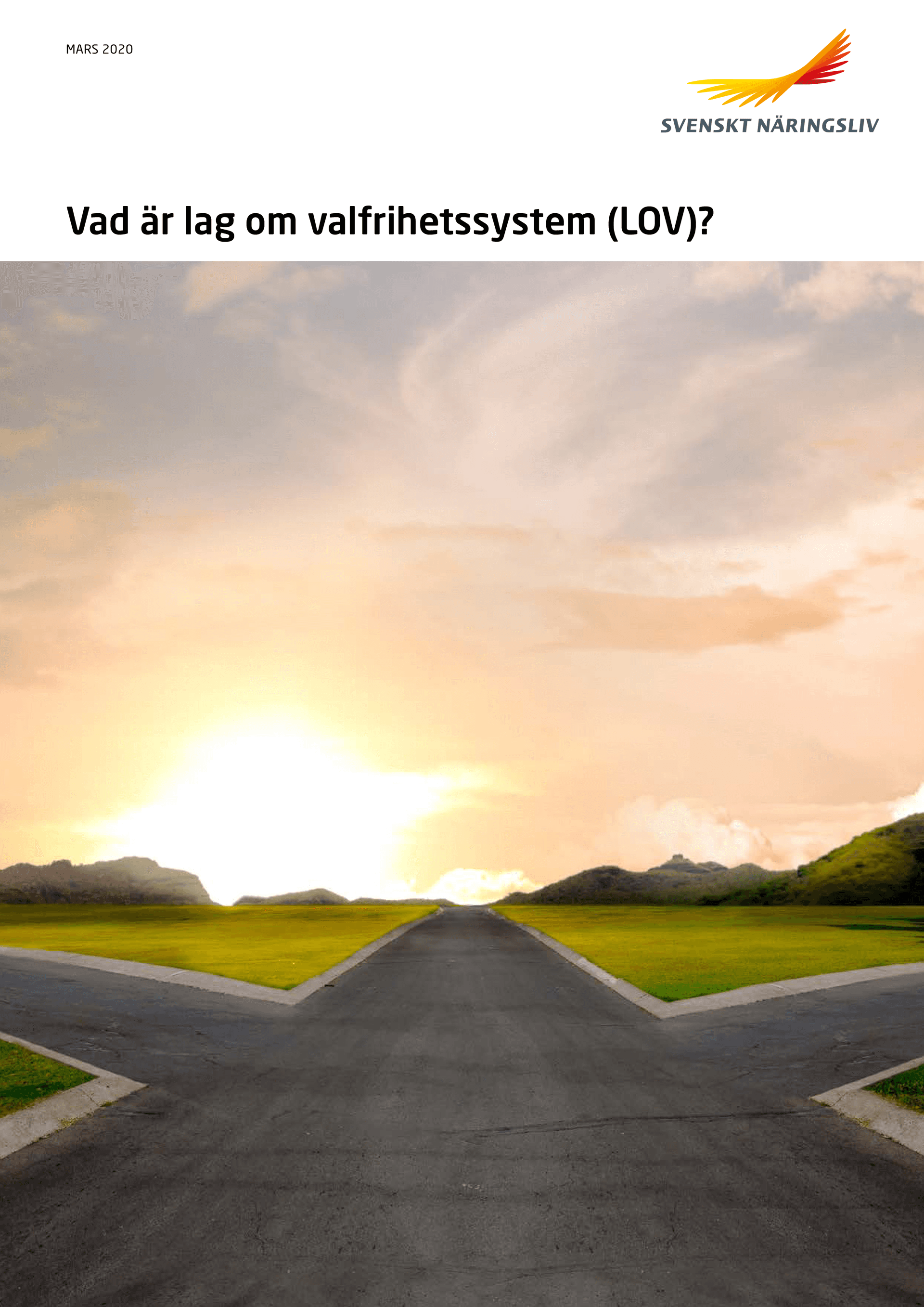 Vad_ar_lag_om_valfrihetssystem_LOV_WEBB.pdf.png