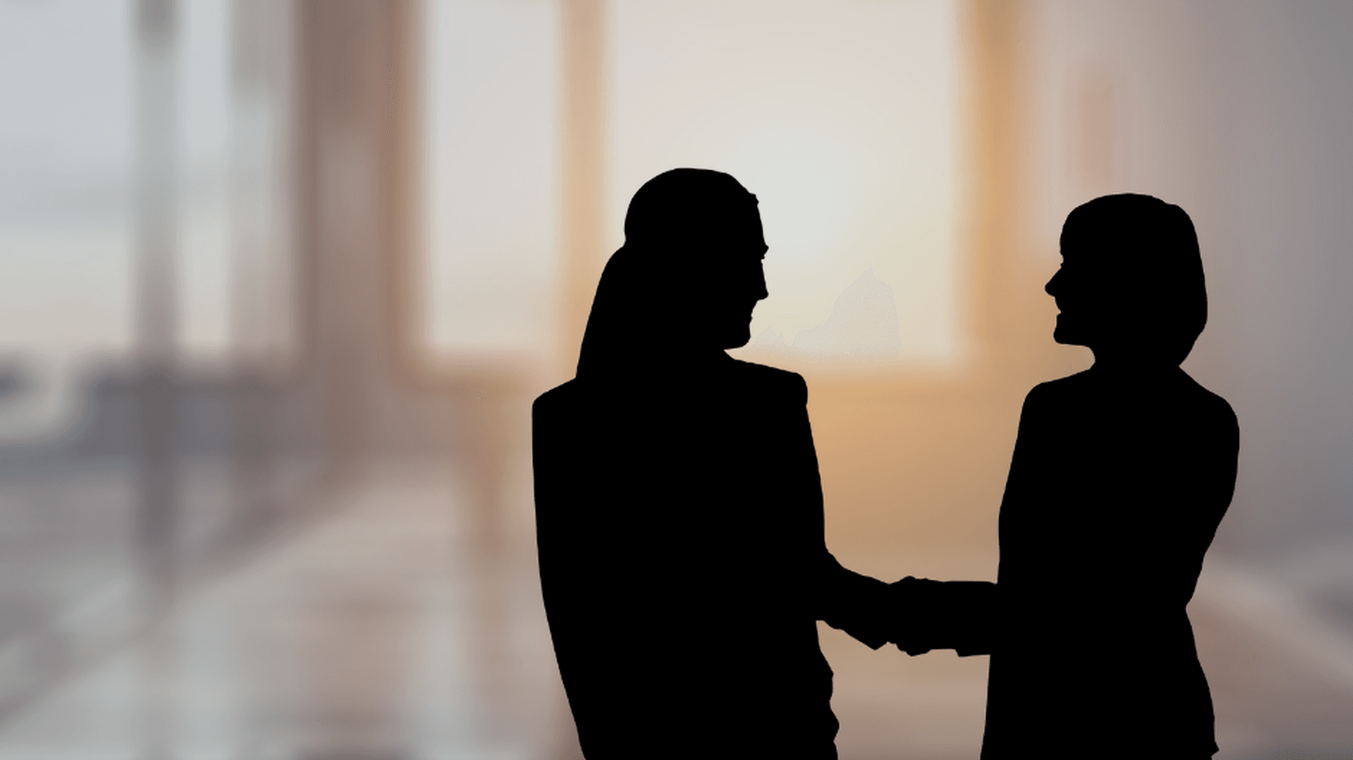 Silhuetter av två personer som skakar han