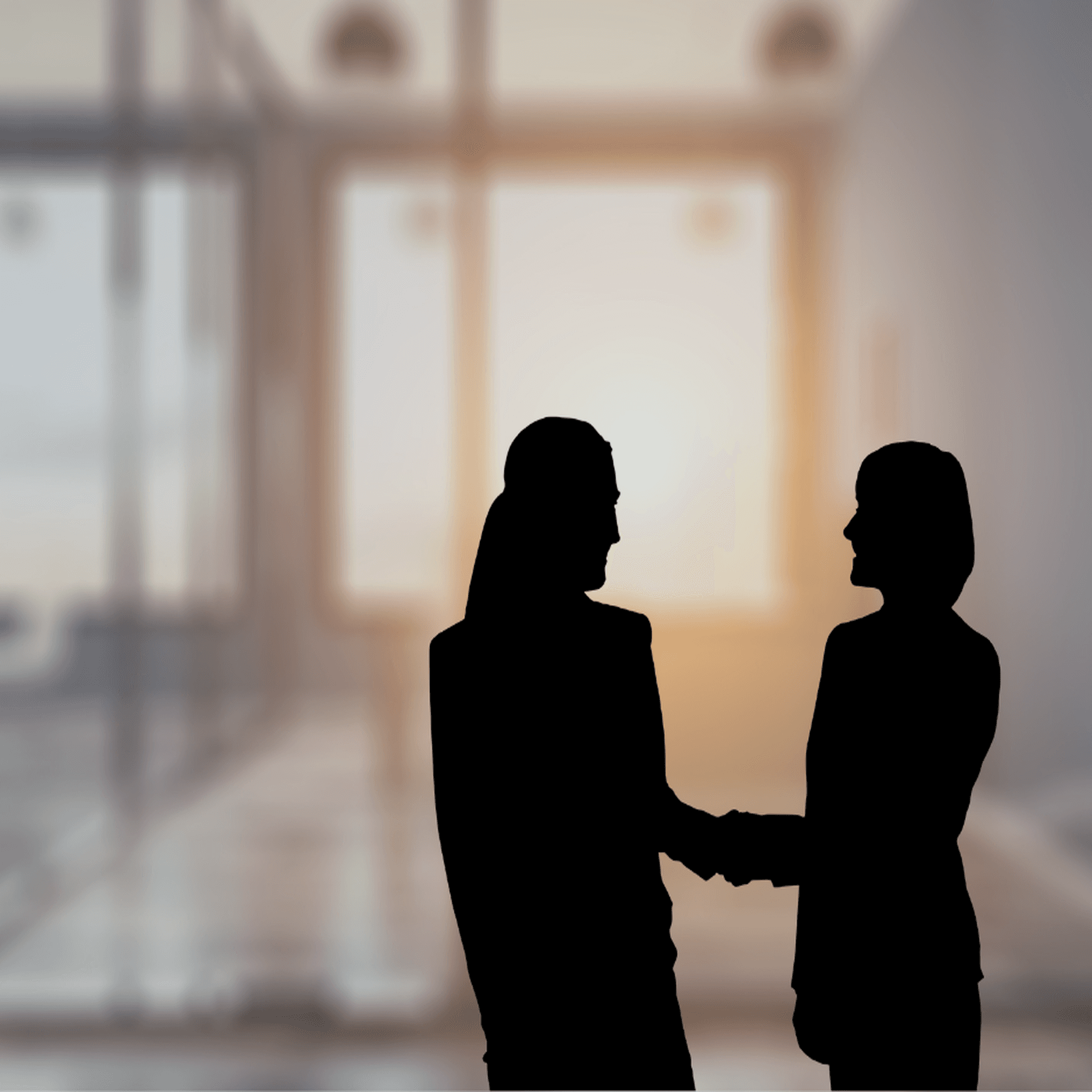 Silhuetter av två personer som skakar han