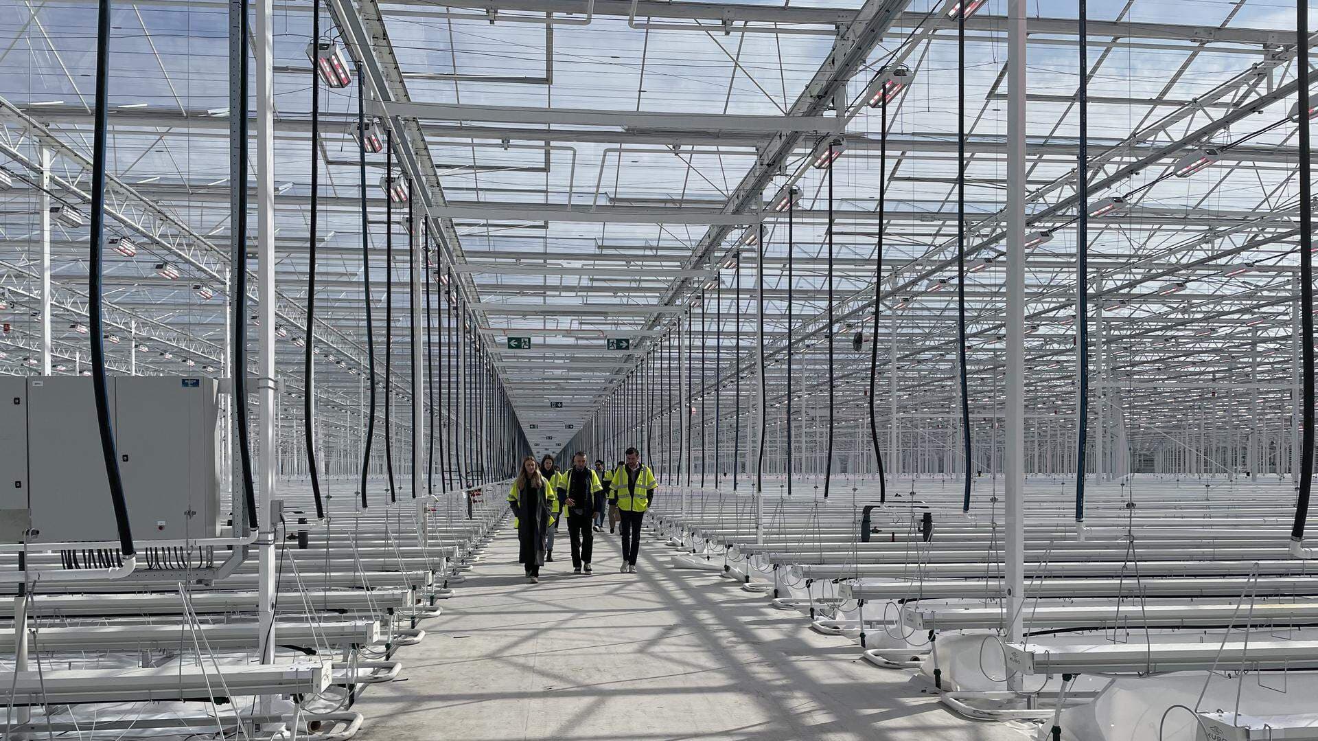 Växthuset i Fröv som snart är fyllt av tomatplator