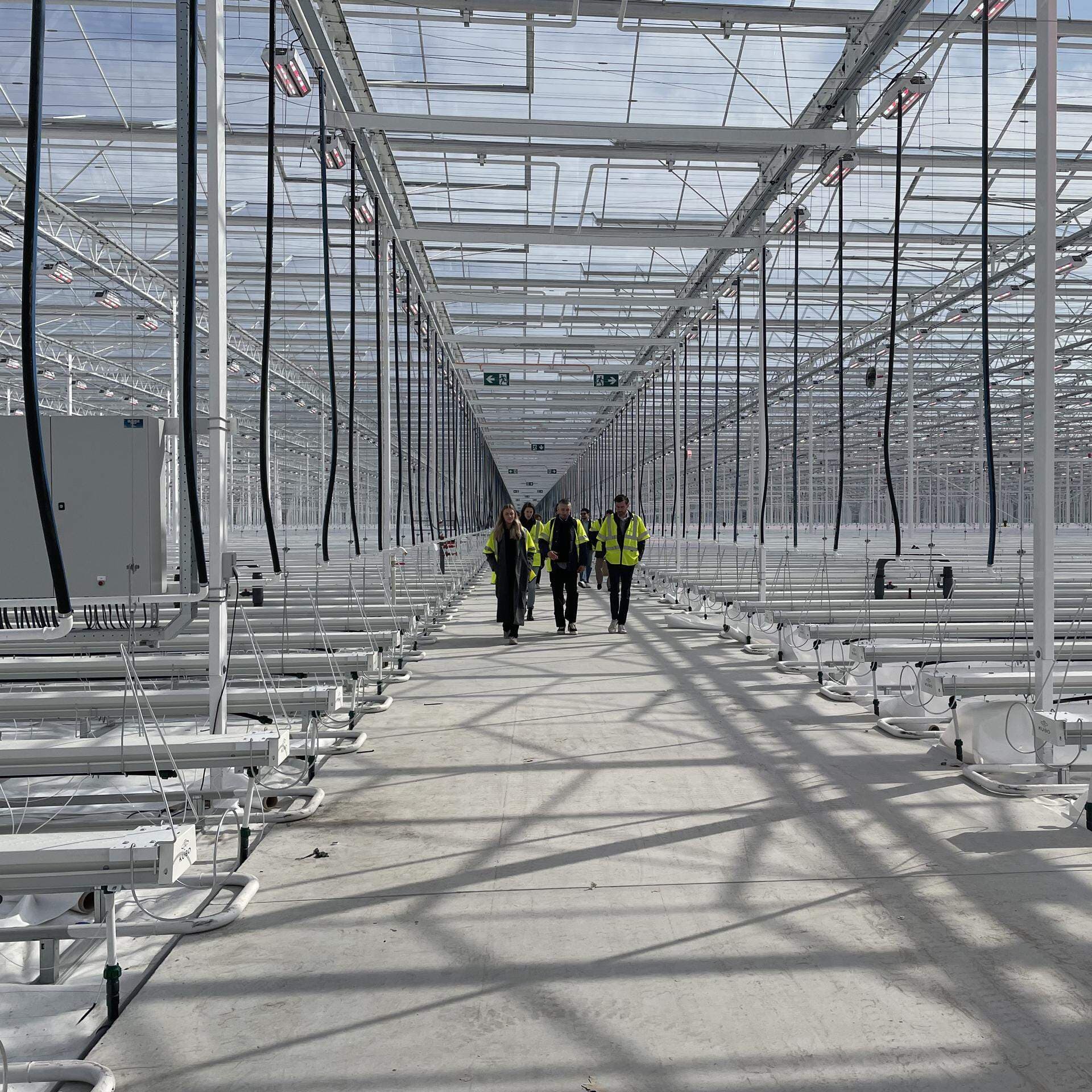 Växthuset i Fröv som snart är fyllt av tomatplator